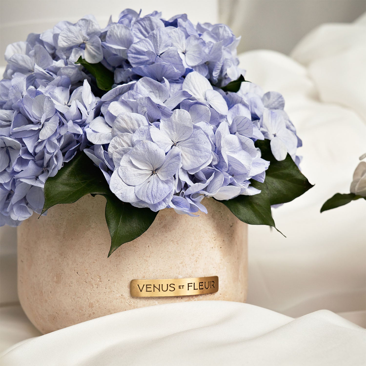 0319-VENUS-ET-FLEUR-PRODUCT1215-Edit.jpg