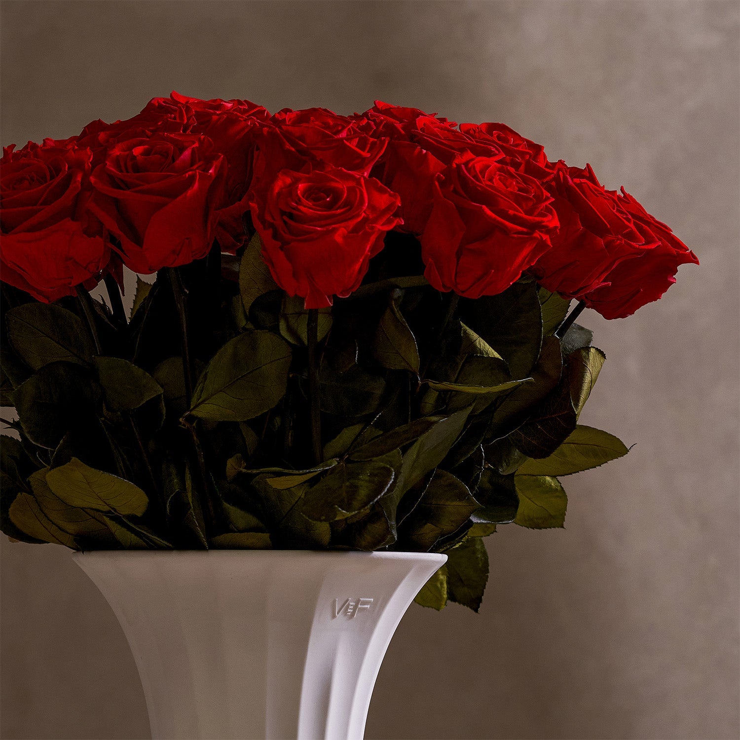 2024VdayPR5254.jpg