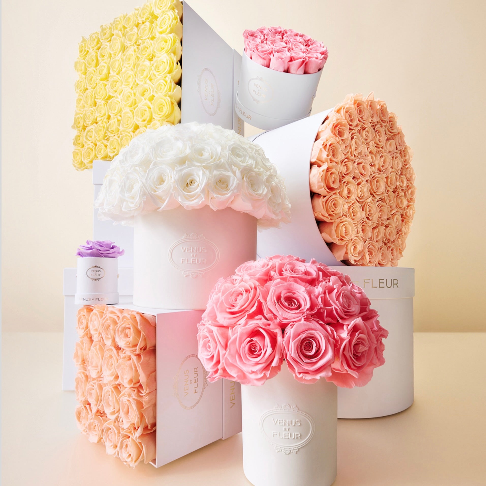 21___Spring_Multi_-_White_Classic_5-1.jpg
