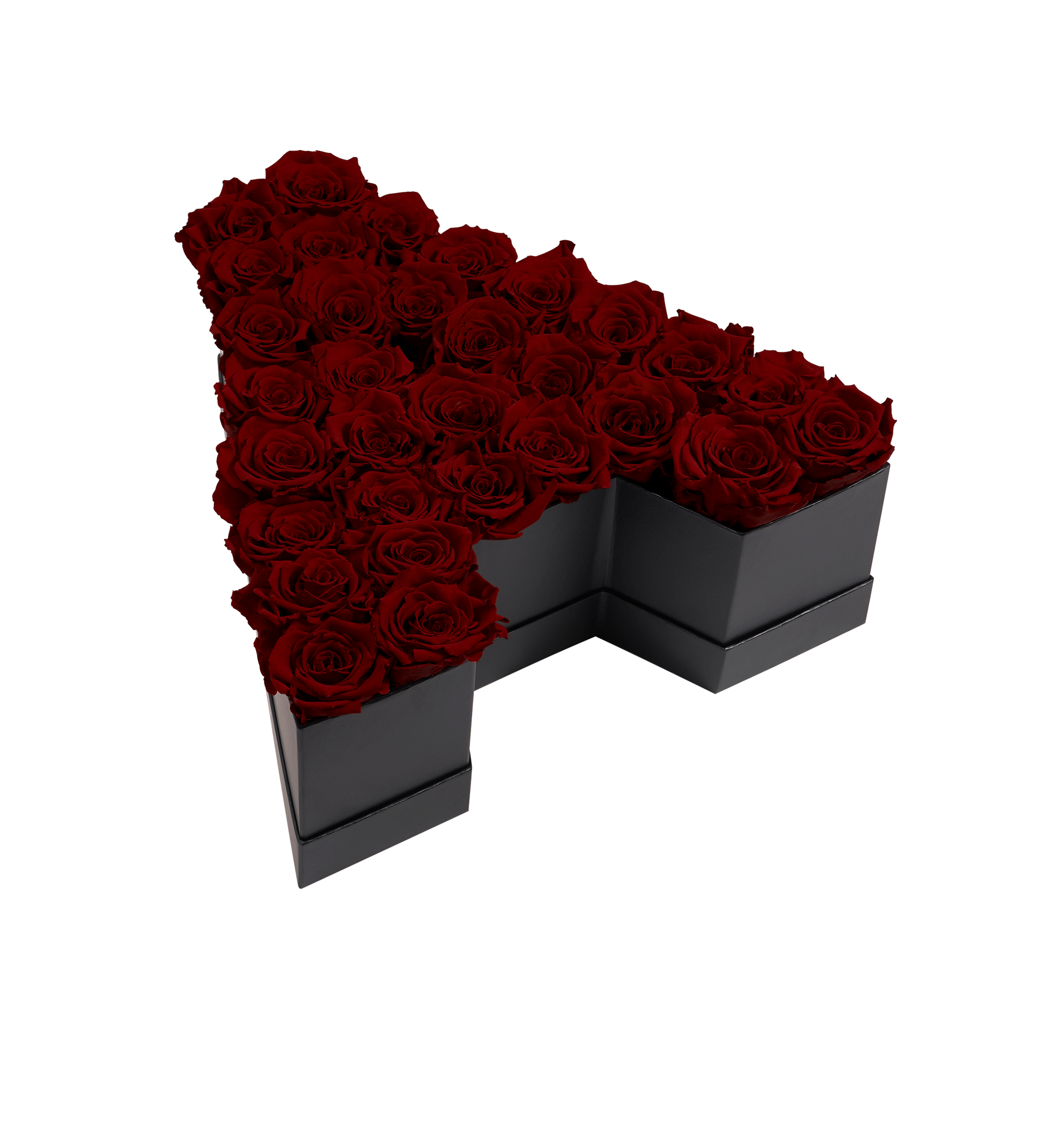 A_Burgundy.png