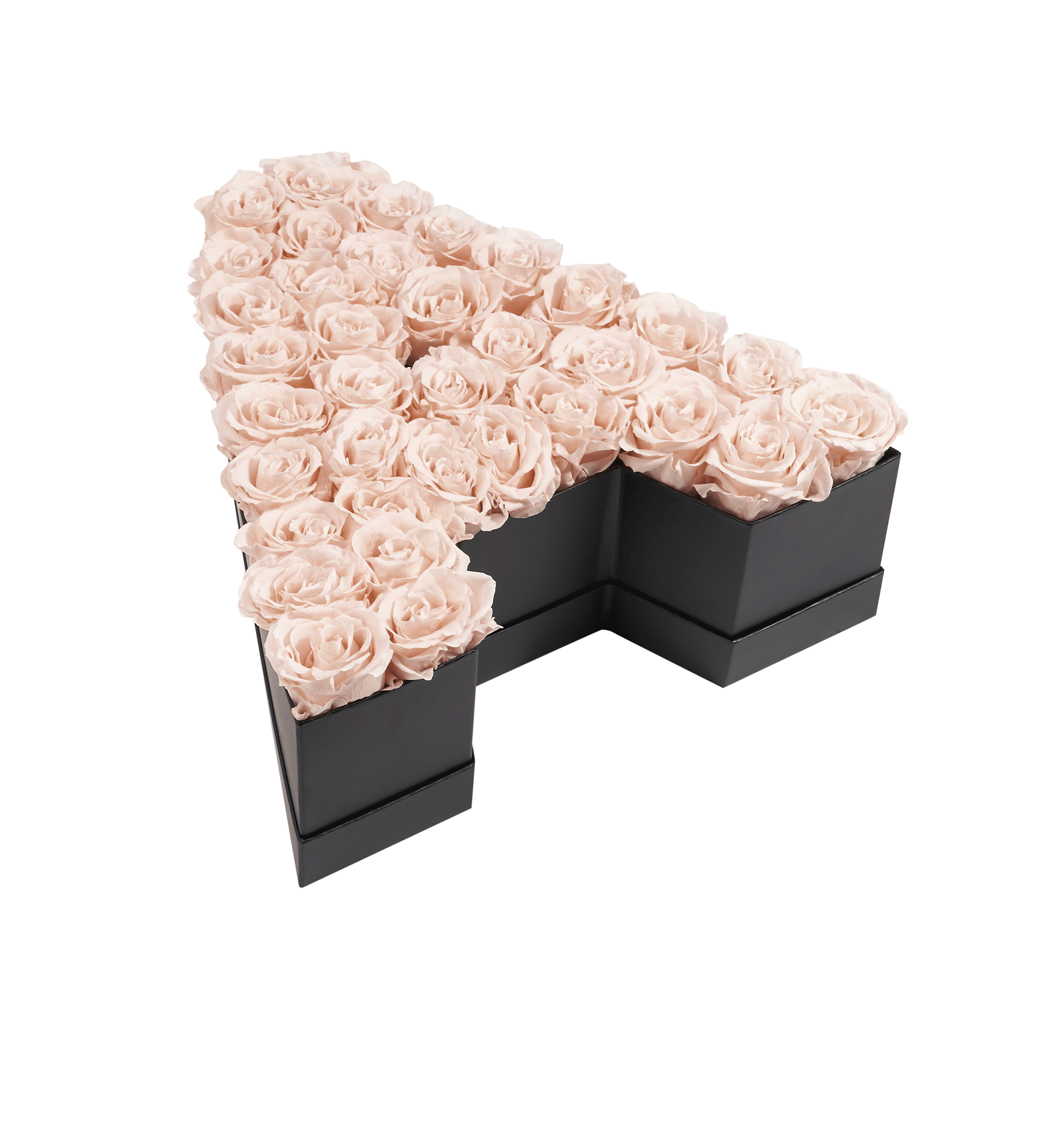A_blush.png