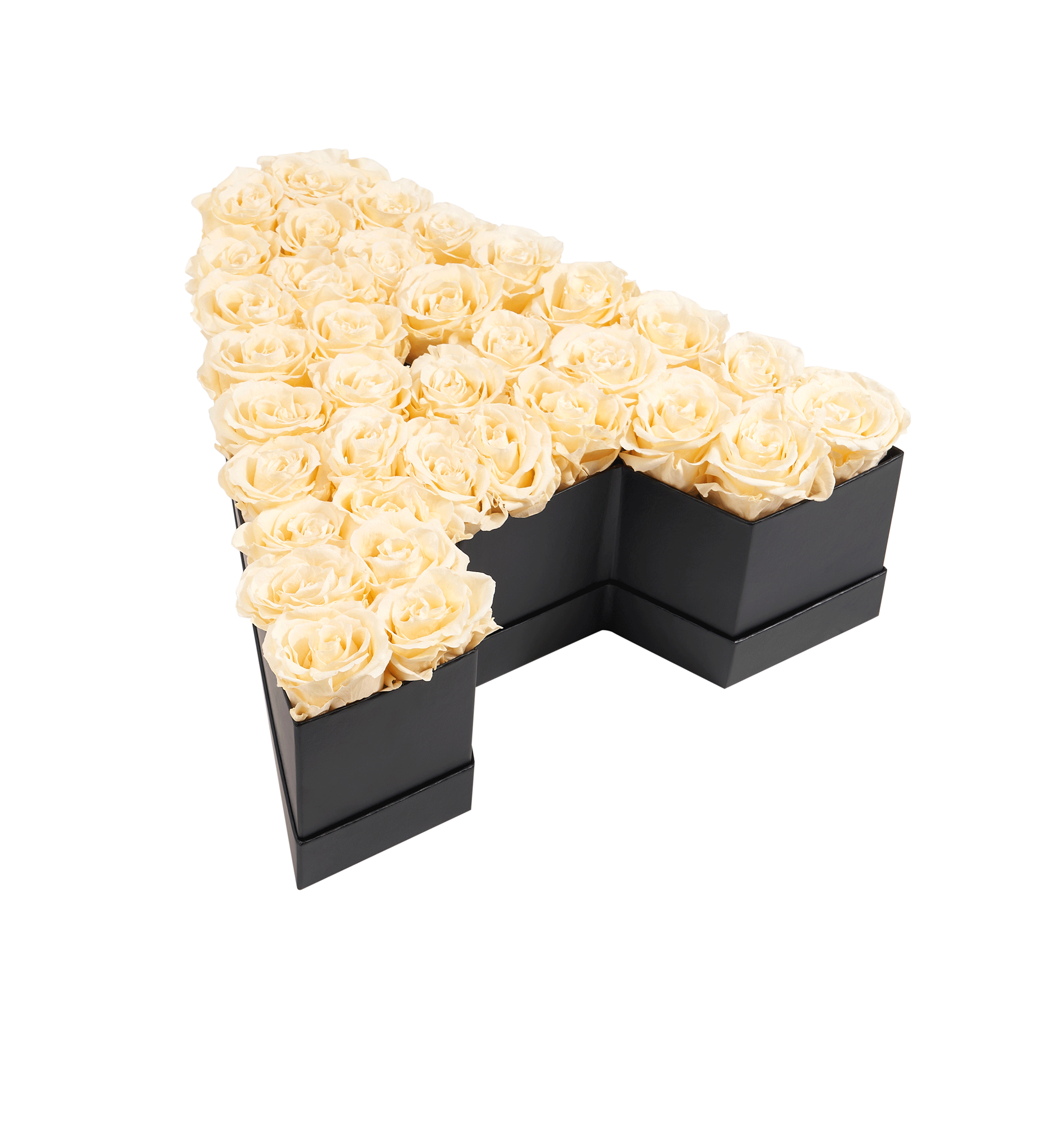 A_champagne.png