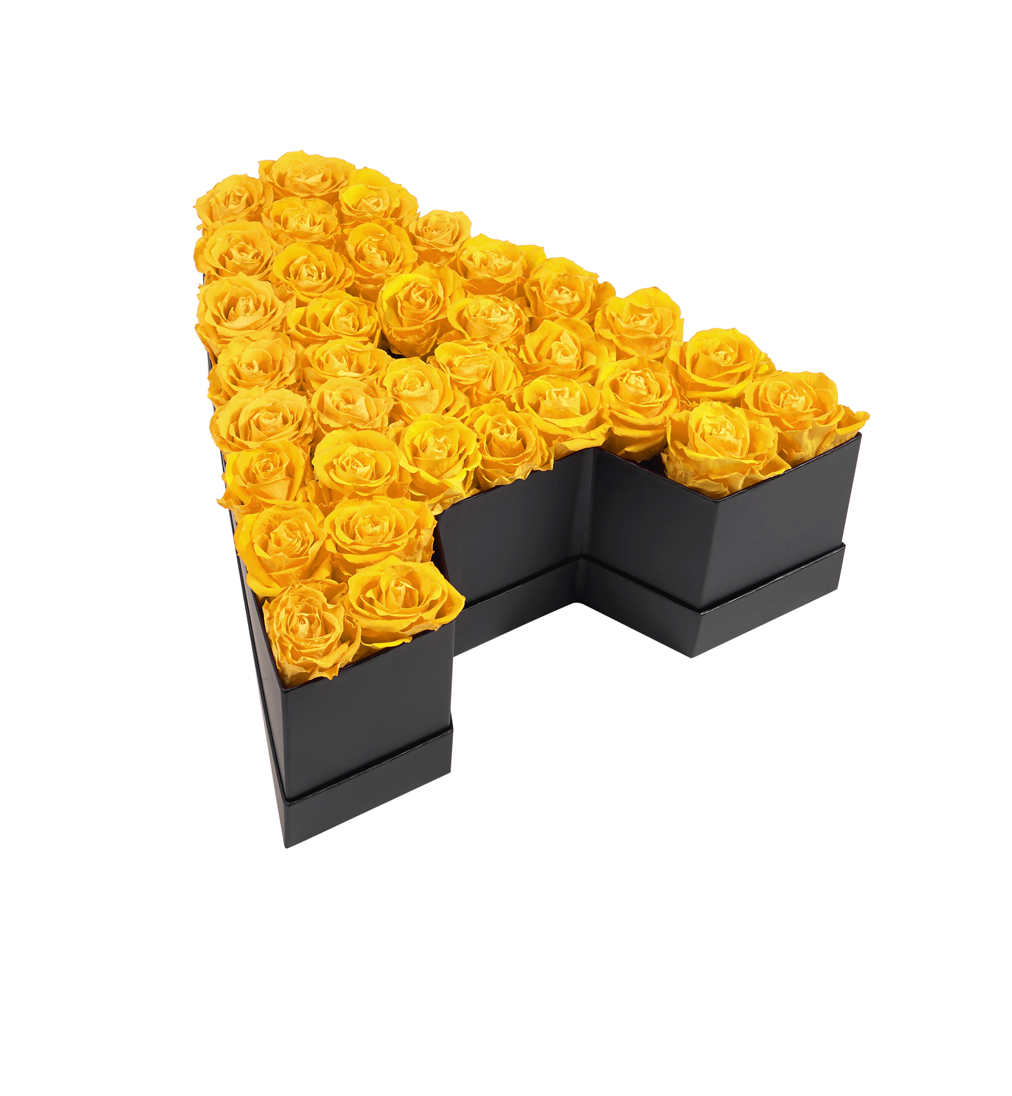 A_yellow-1.png