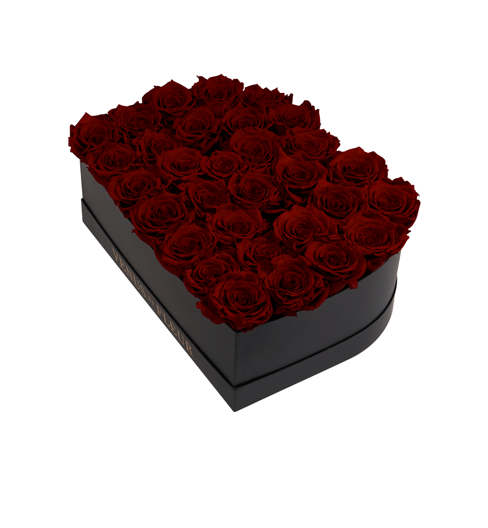 B_burgundy.png