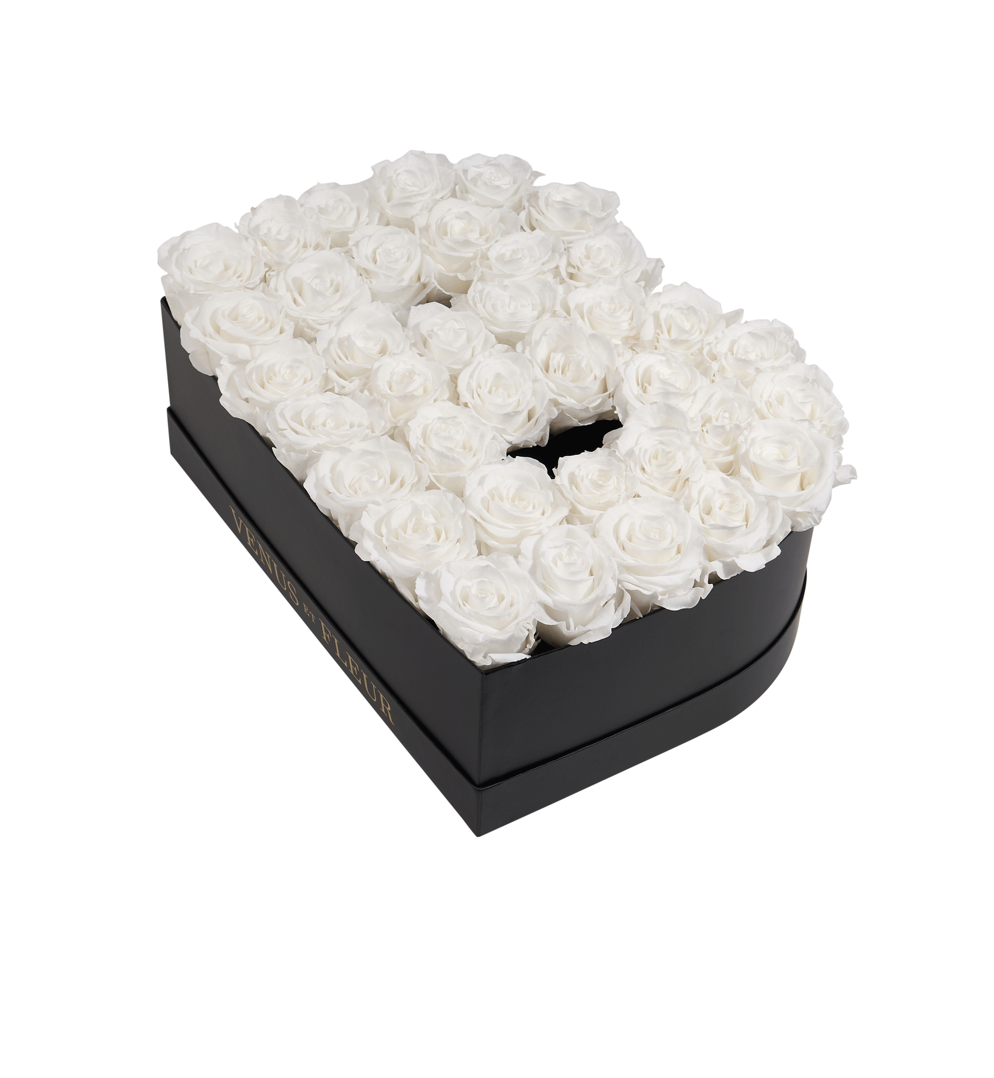 B_purewhite.png