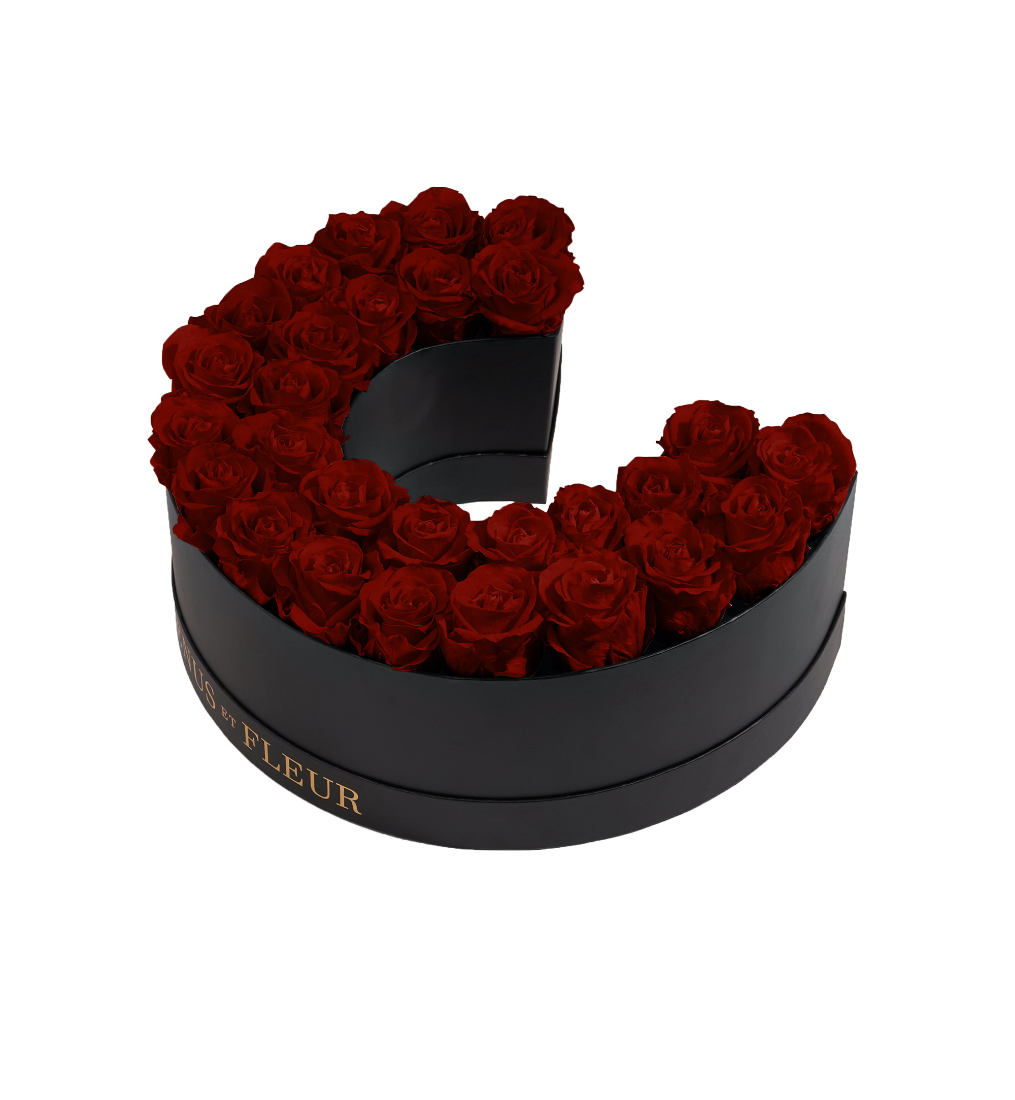 C_burgundy.png