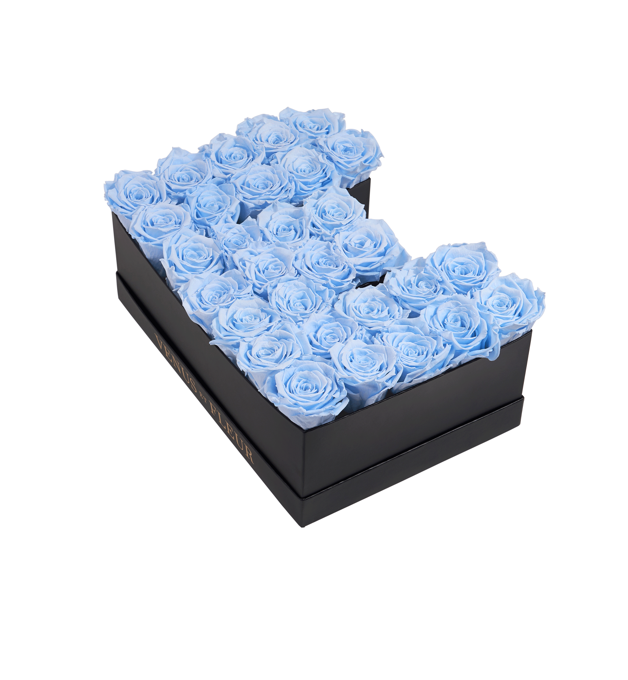 E_babyblue.png