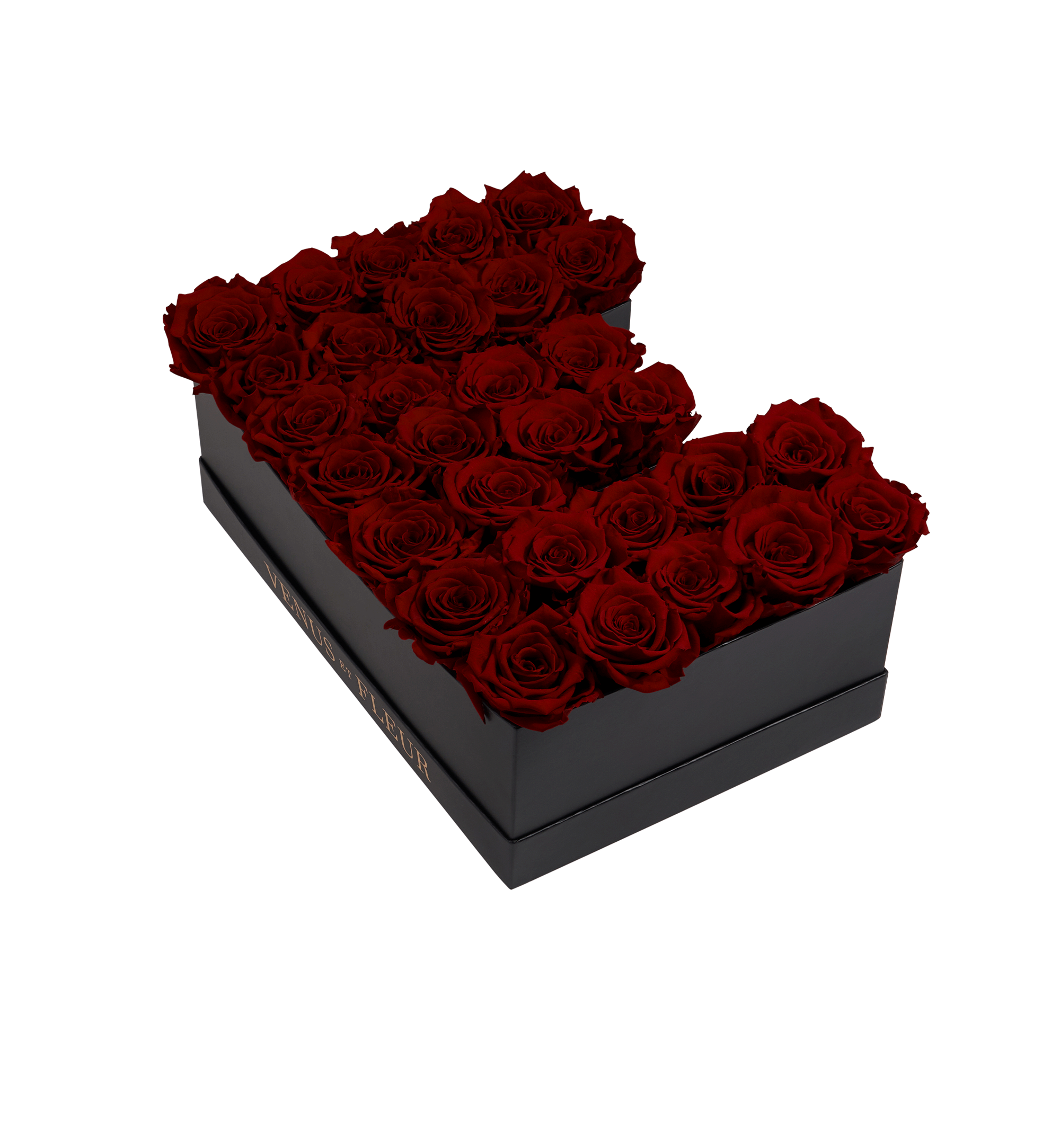 E_burgundy.png