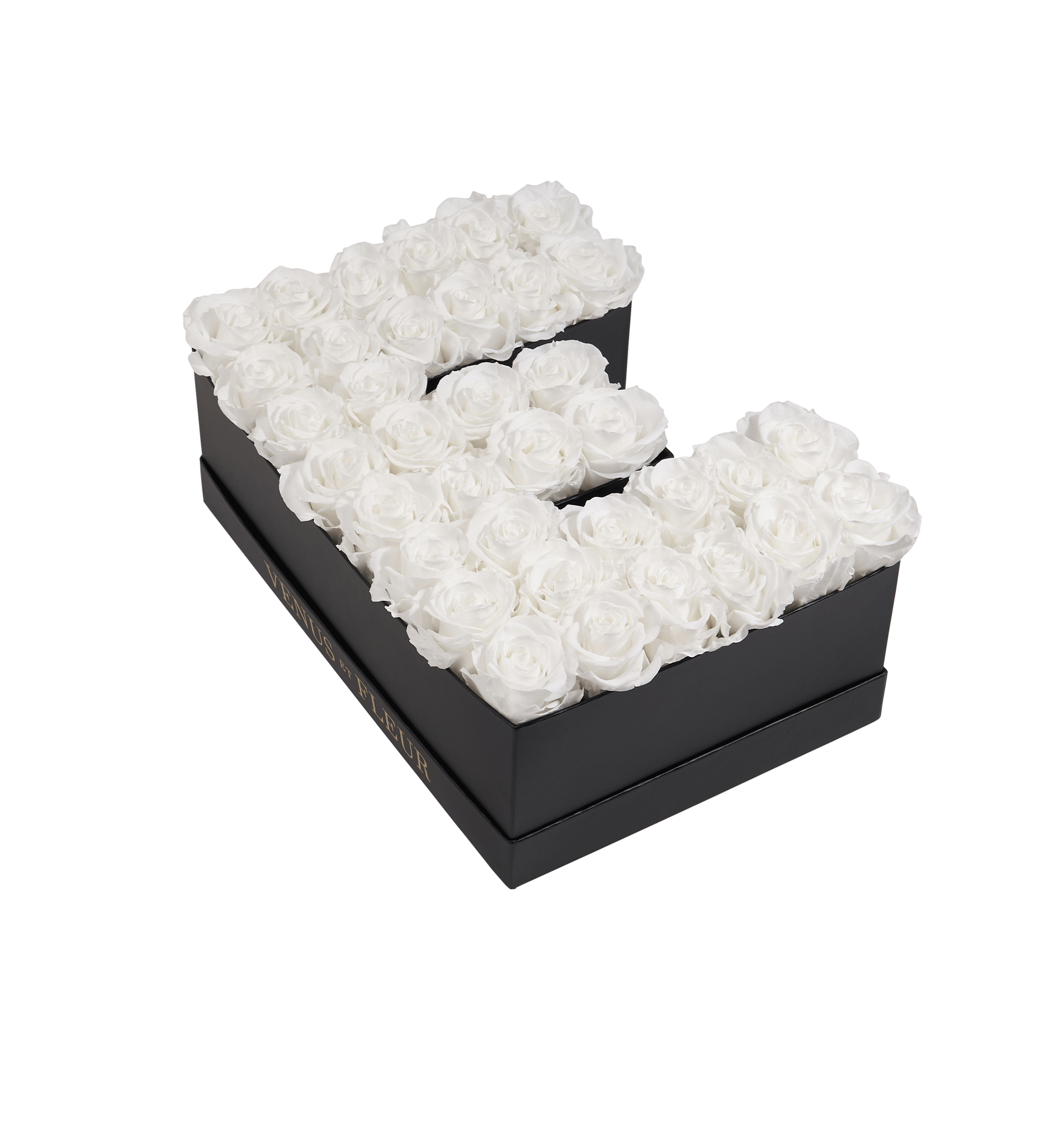 E_purewhite.png