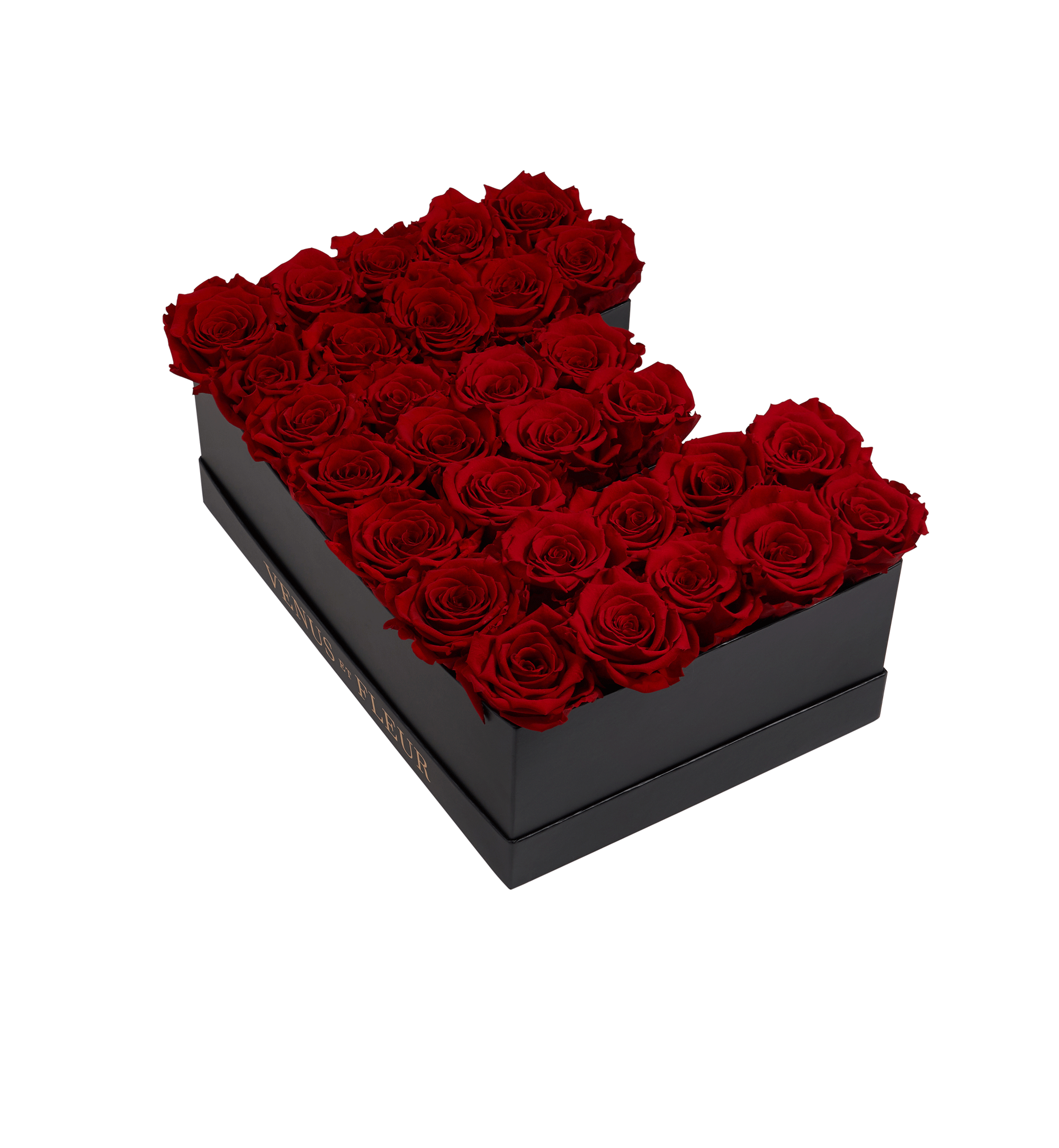 E_red.png