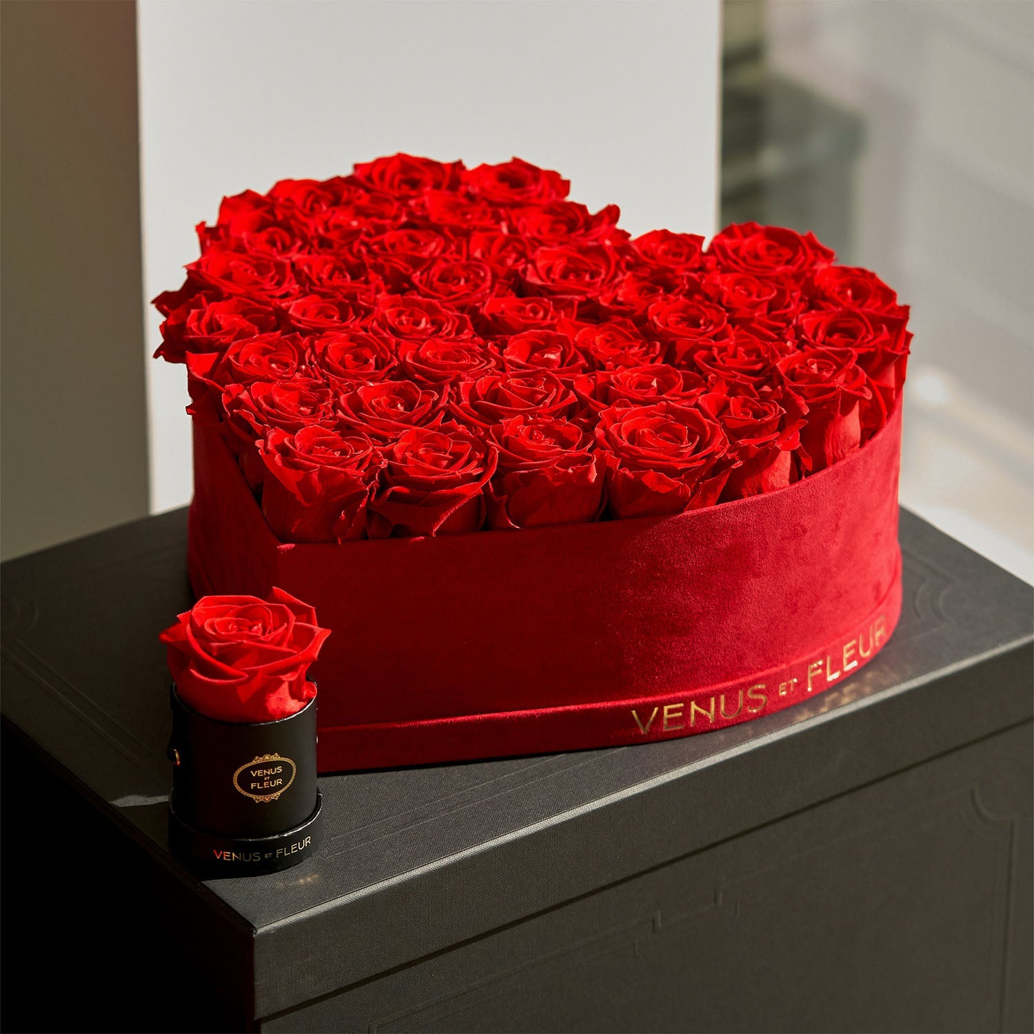 Evergreen-NovemberShoot0122.jpg