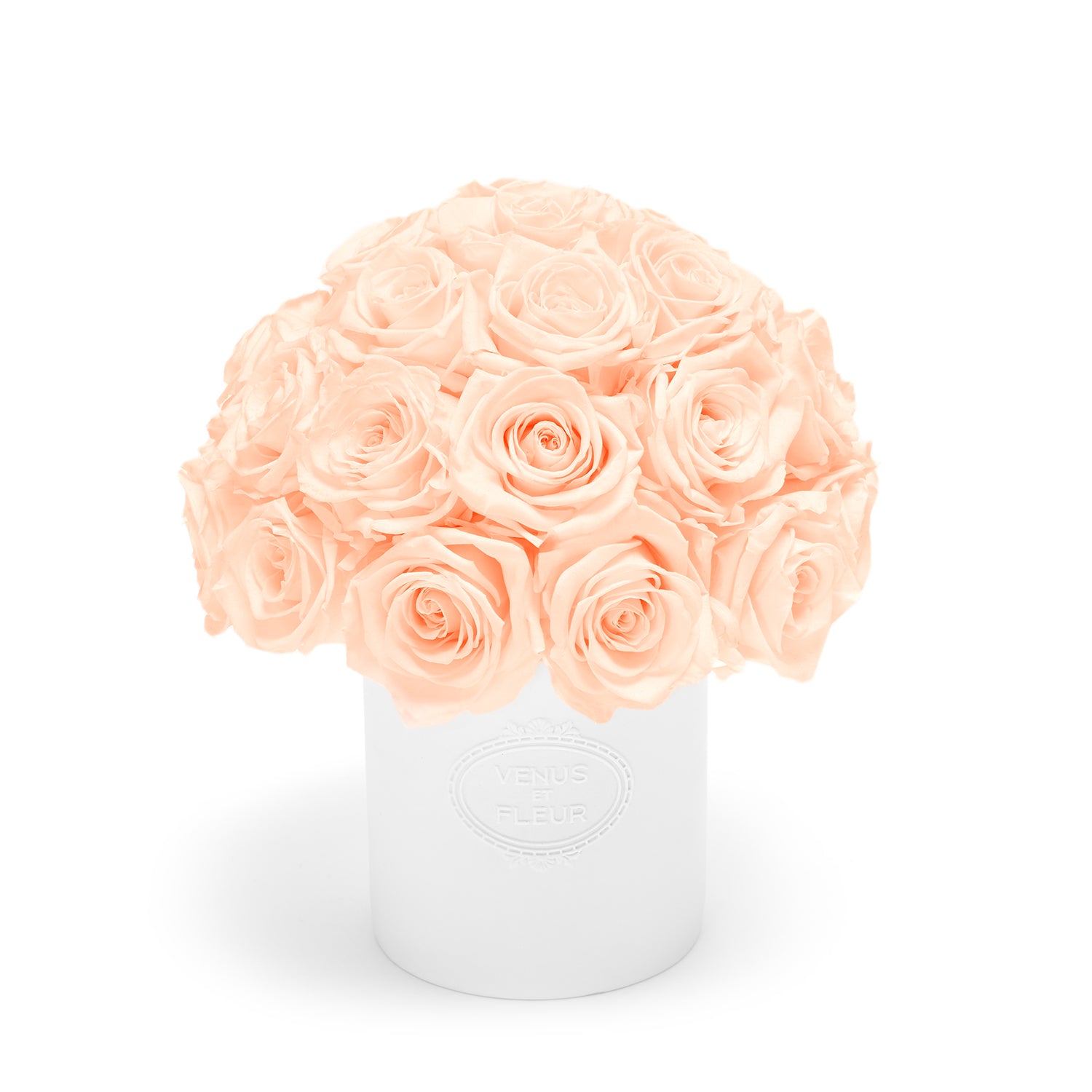 FLEURA_Roses_Blush_001.jpg