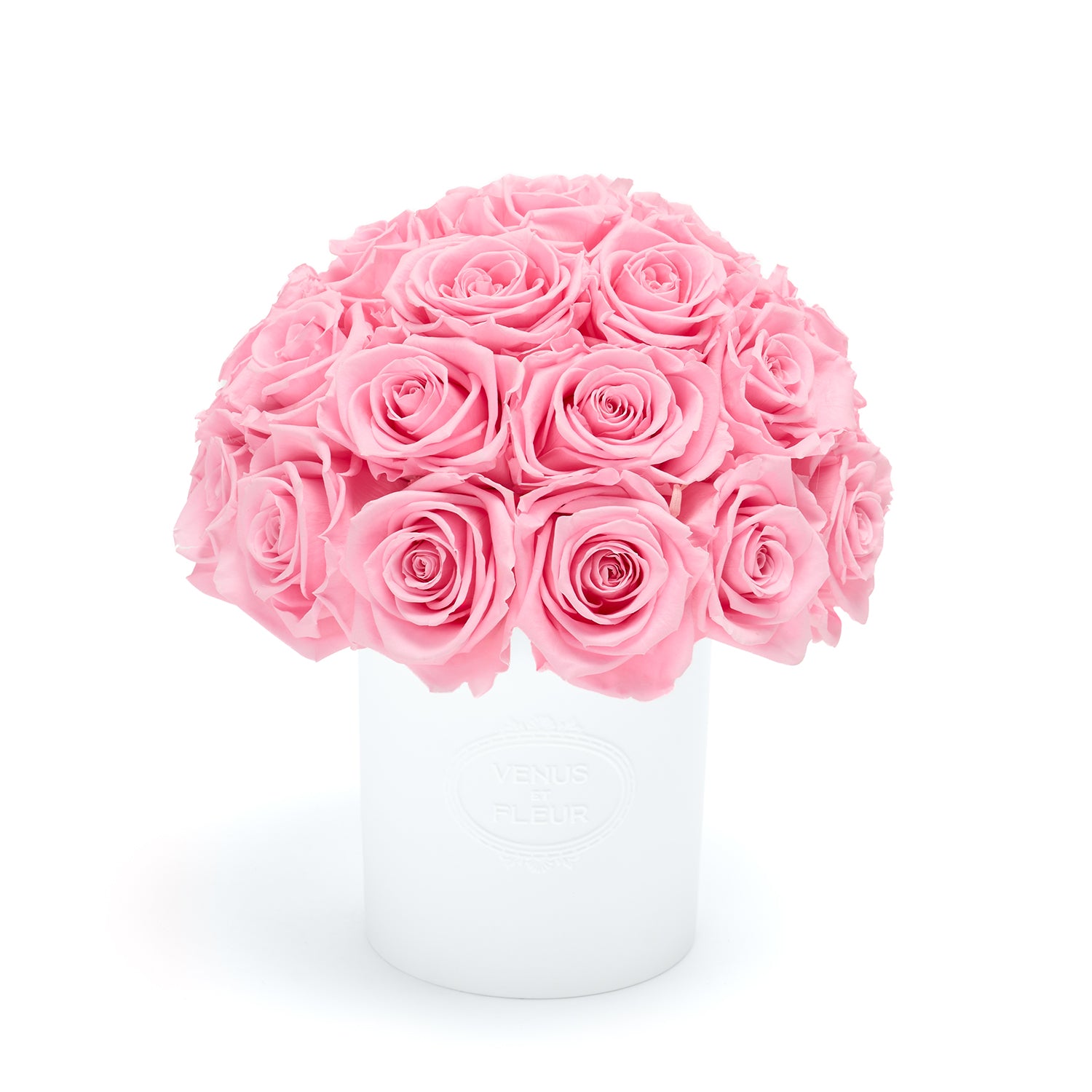 FLEURA_Roses_Pink_001.jpg