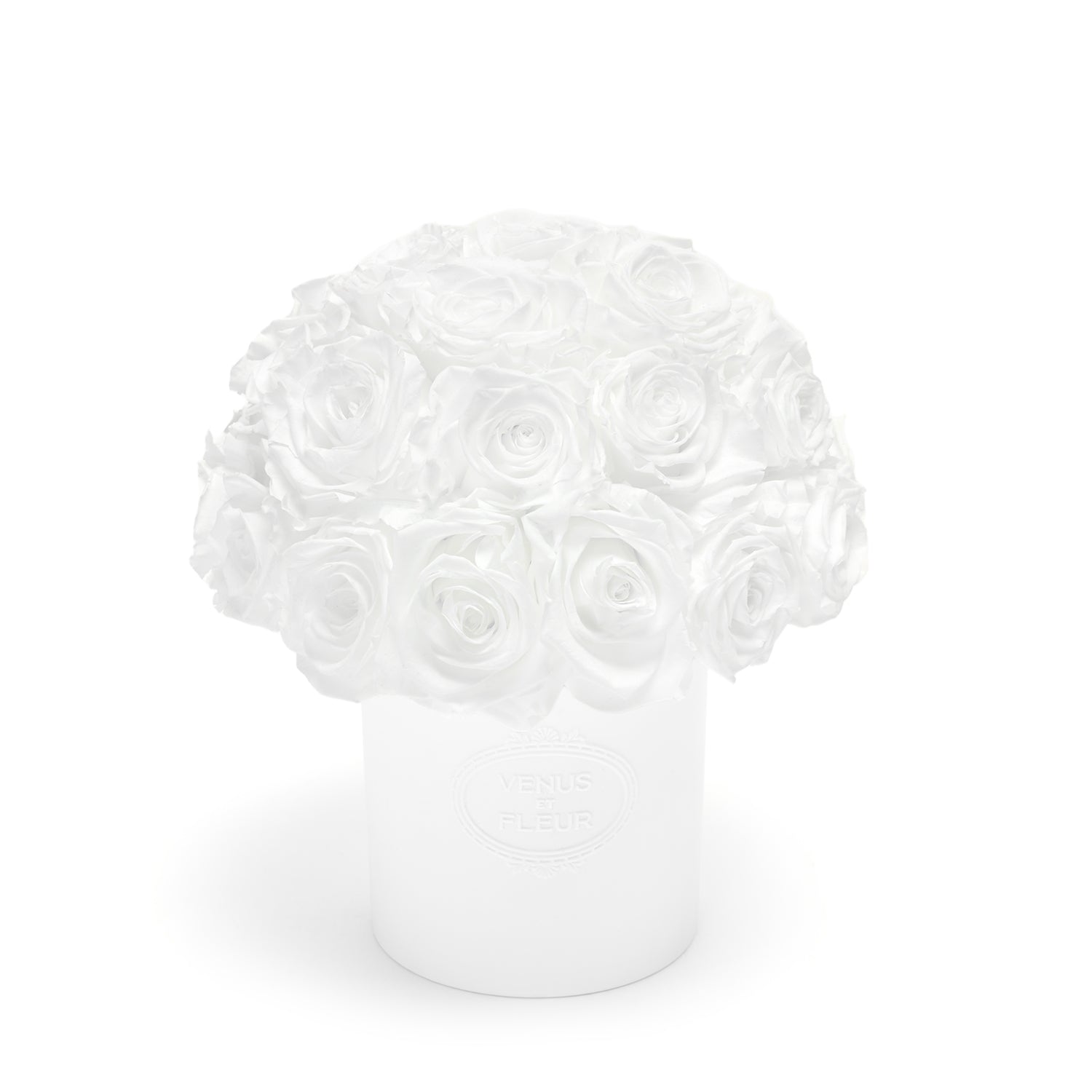 FLEURA_Roses_PureWhite_hero1_84ea5aa3-3804-424f-a96a-752836691eee.jpg