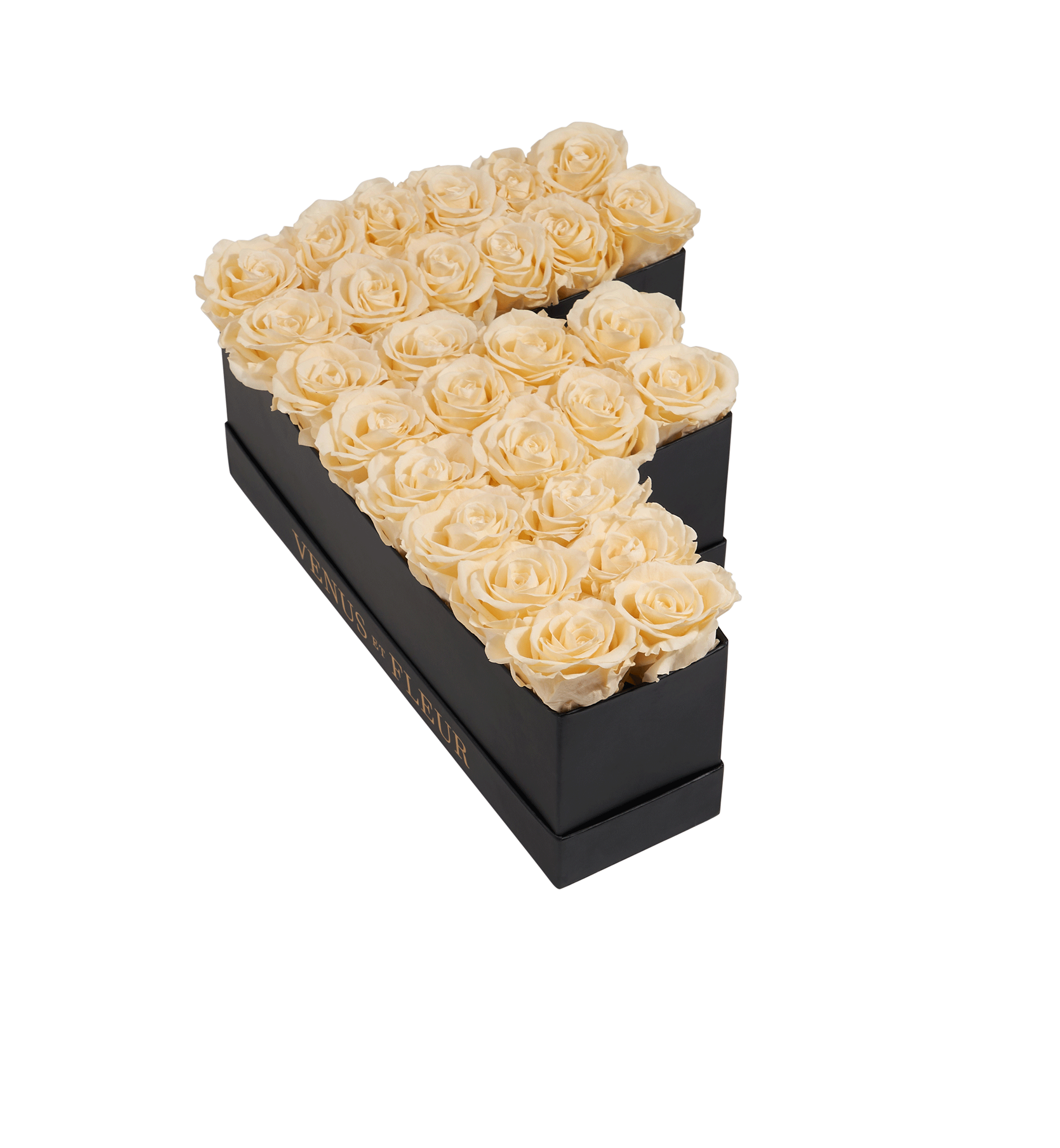 F_champagne.png