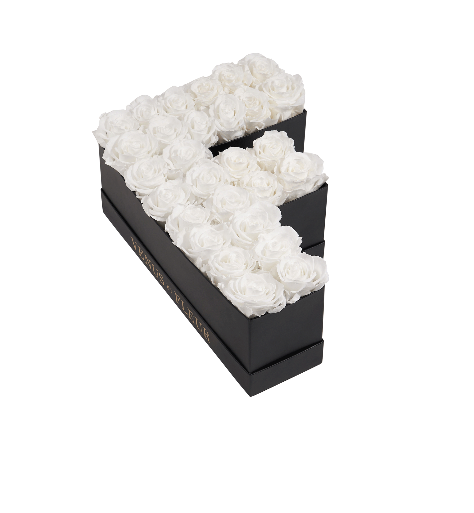 F_purewhite.png
