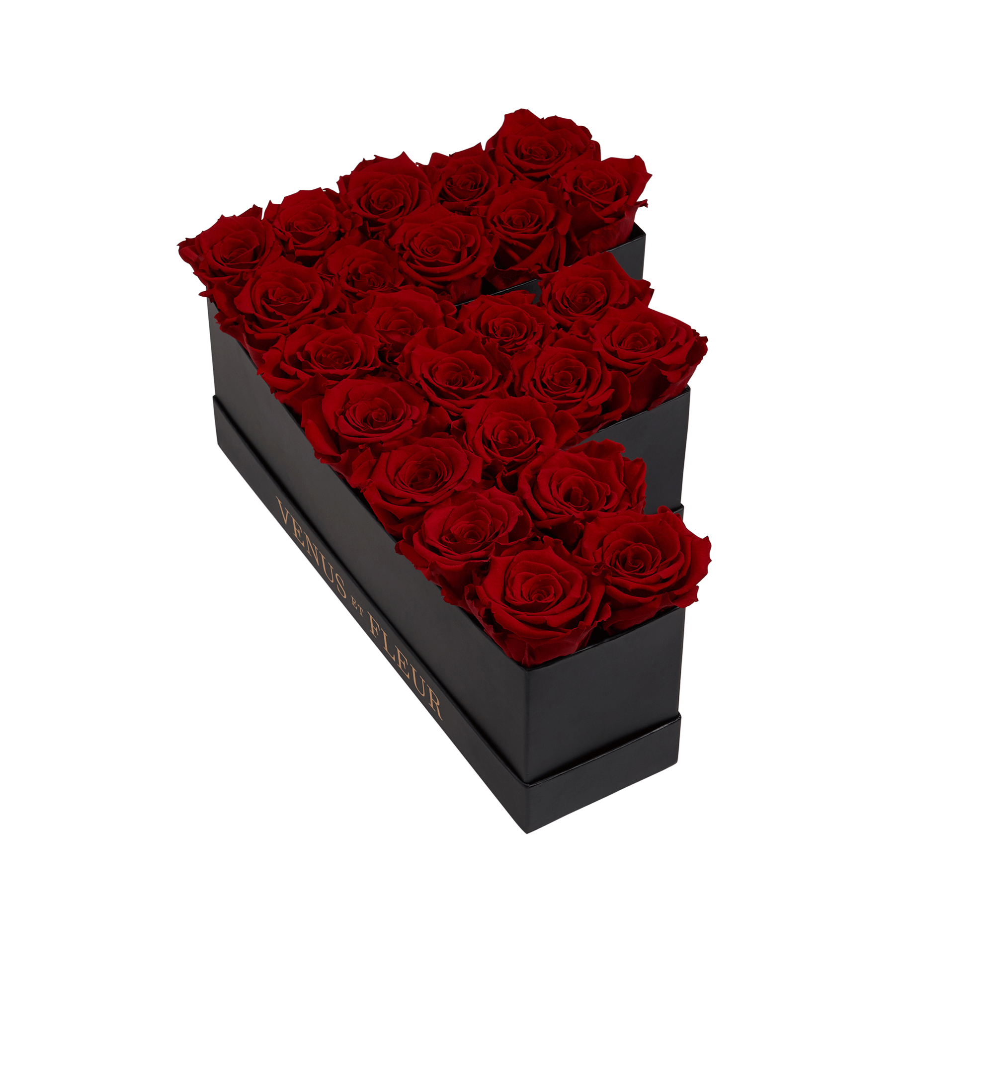 F_red.png