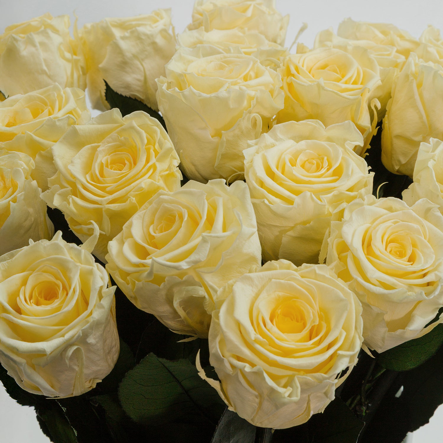 GRAND-APHRODITE-BUTTERMILK-YELLOW-CORE-2025-PDP-MACROS-4.jpg