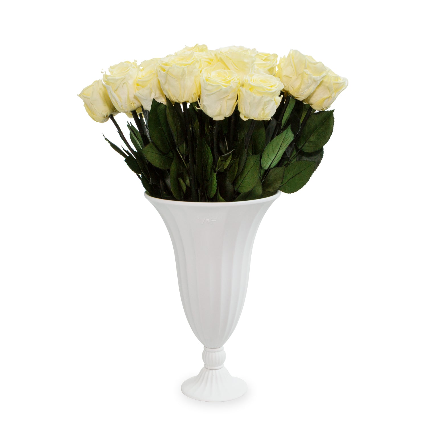 GRAND-APHRODITE-BUTTERMILK-YELLOW-CORE-2025-PDP-SILO.jpg