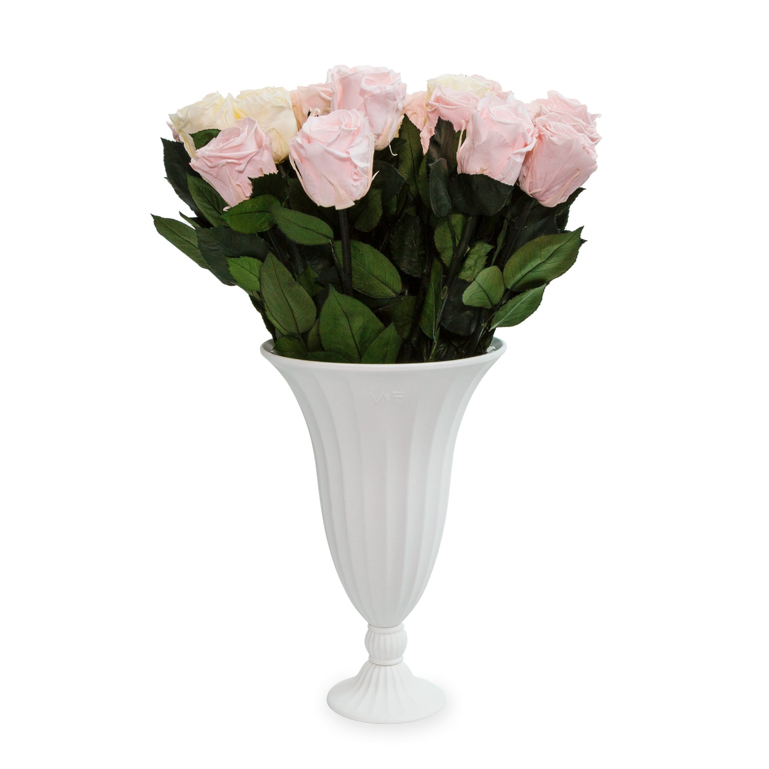GRAND-APHRODITE-DOVES-KISS-CORE-2025-PDP-SILO.jpg