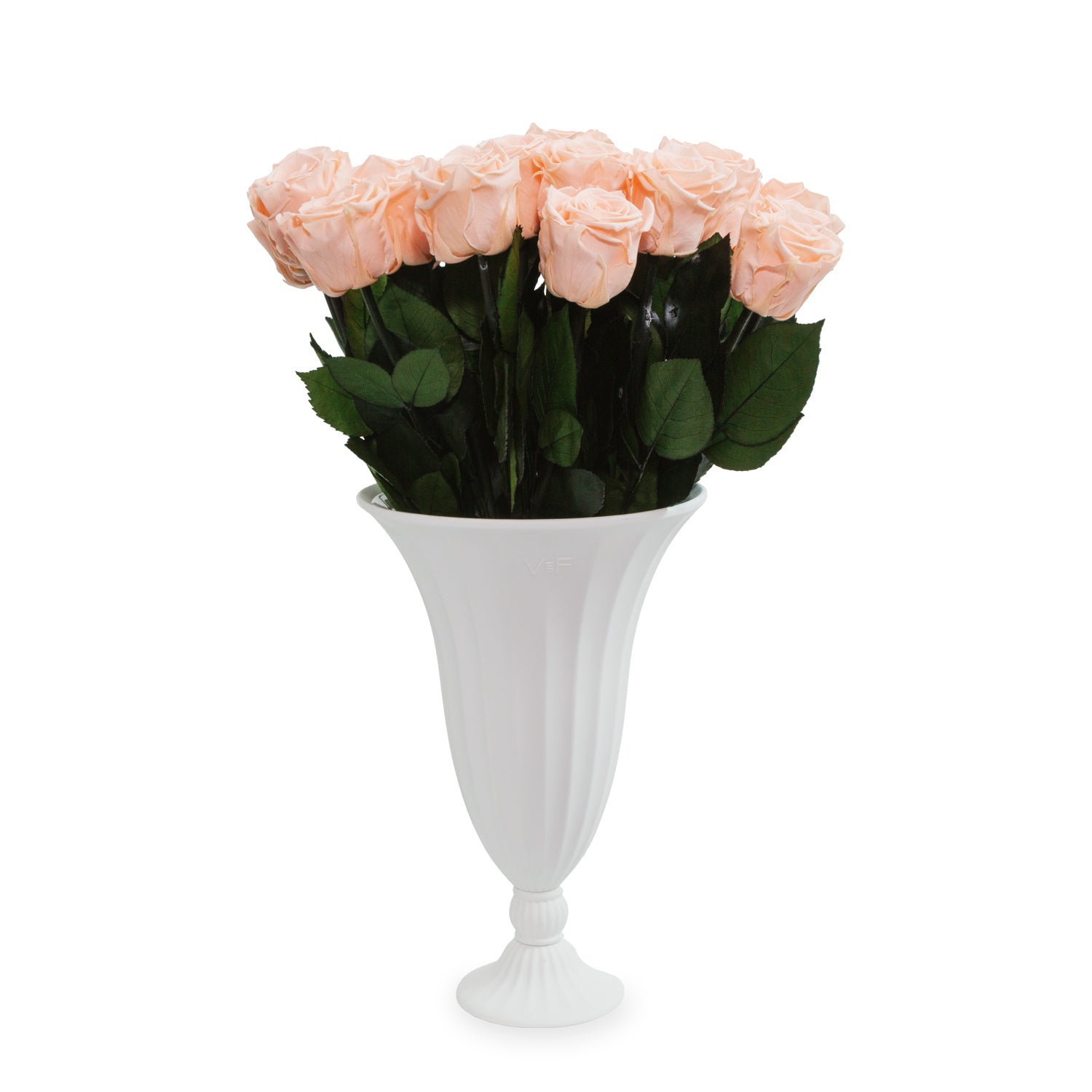 GRAND-APHRODITE-PEACH-NECTAR-CORE-2025-PDP-SILO.jpg