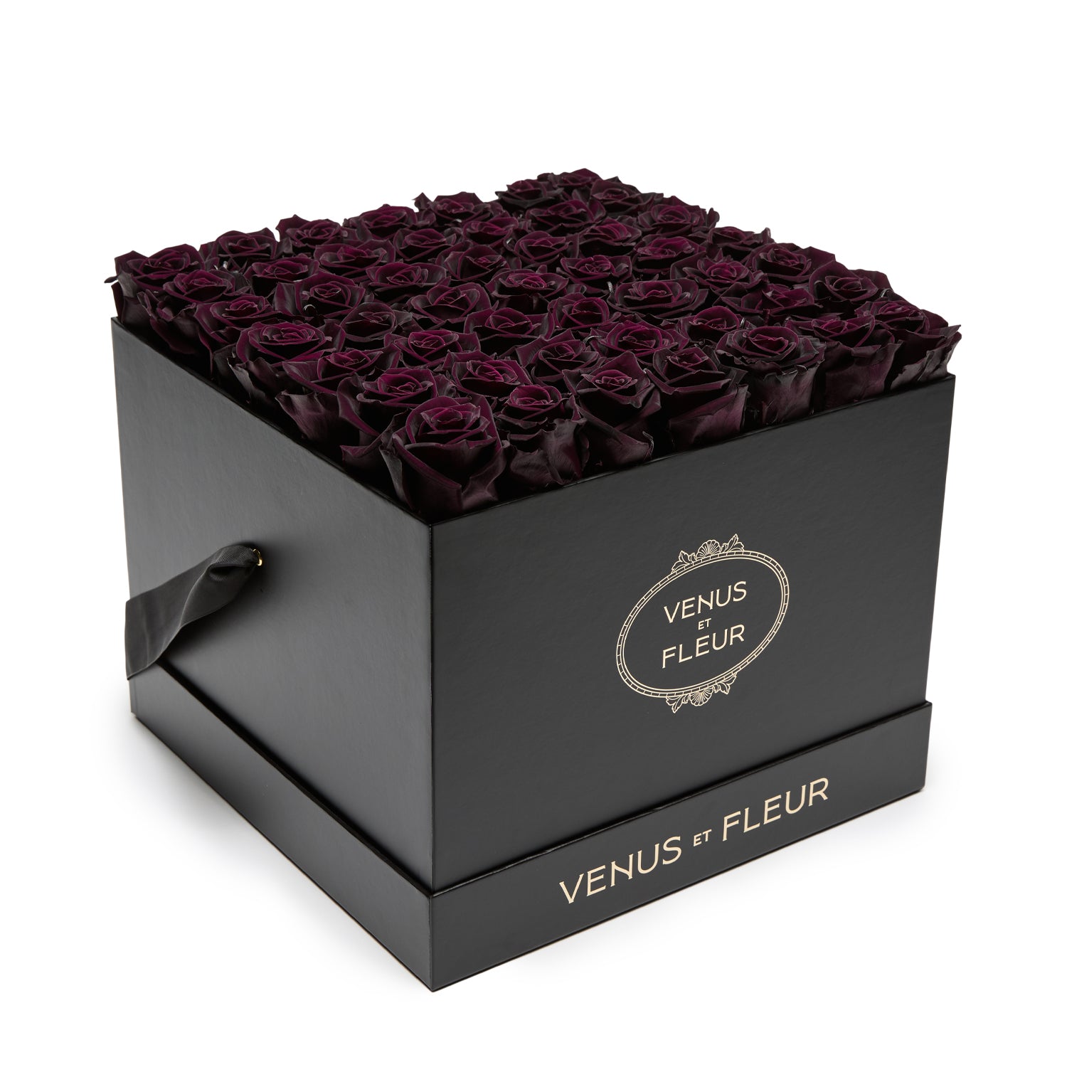 HatBox_LargeSquare_Blackberry_Roses_hero1-1.jpg