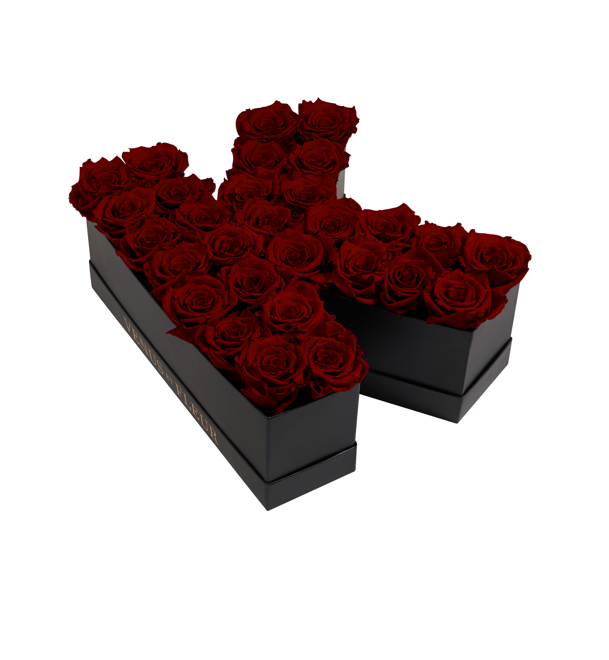K_burgundy.png