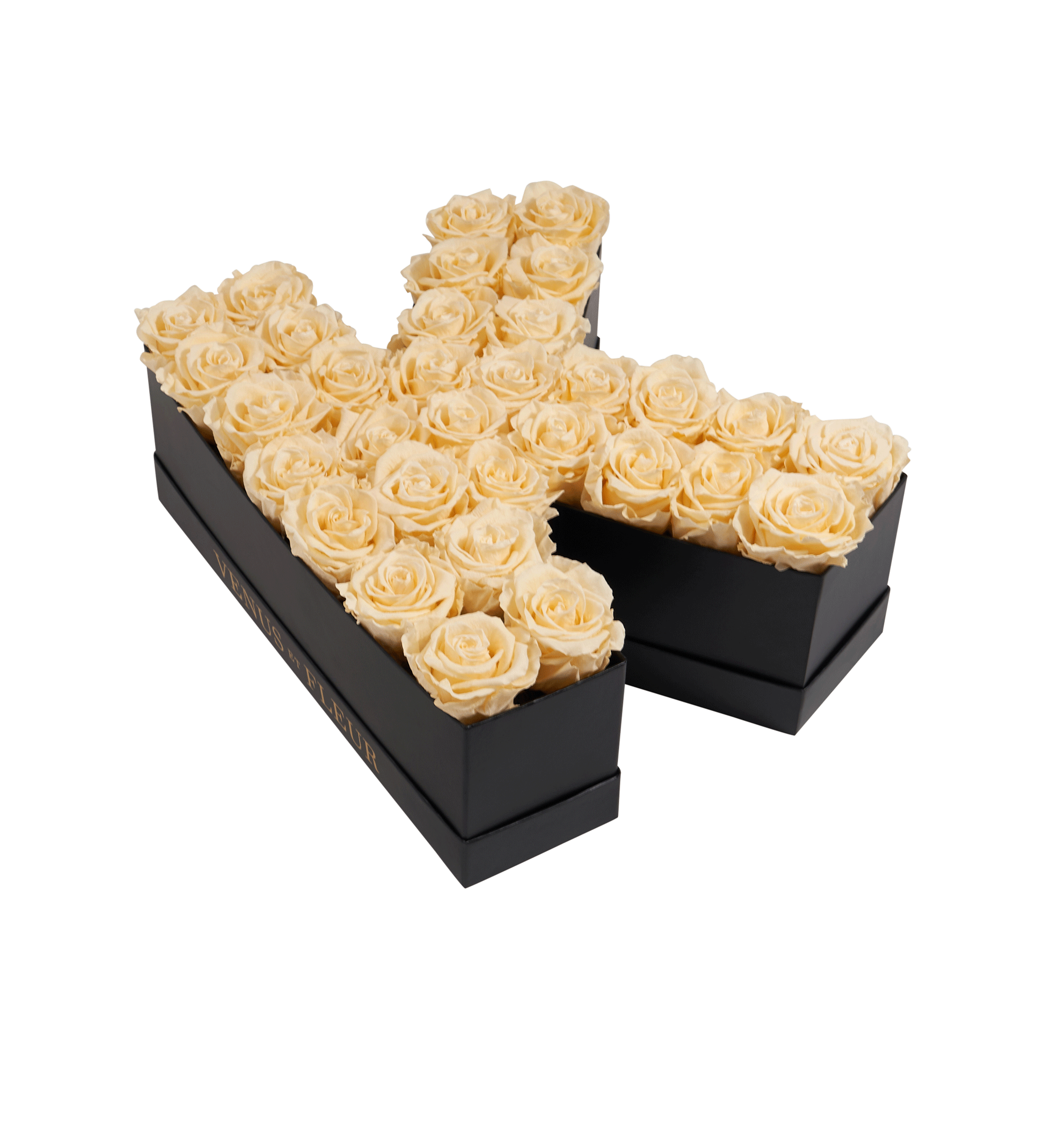 K_champagne.png
