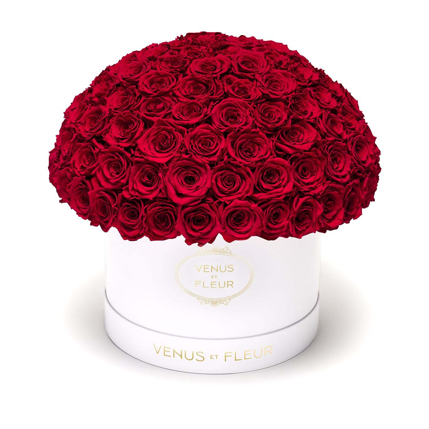 LaPlein_ClassicHatboxWhite_Roses_Red_hero1_1.jpg