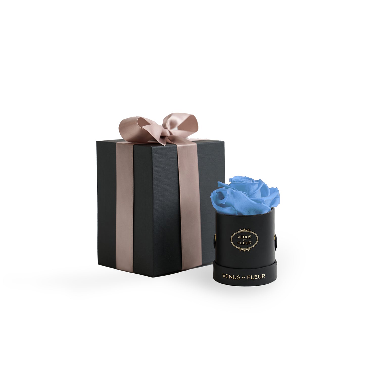 LeMini_Giftbox_BlackClassic_1500x1500_BabyBlue.jpg