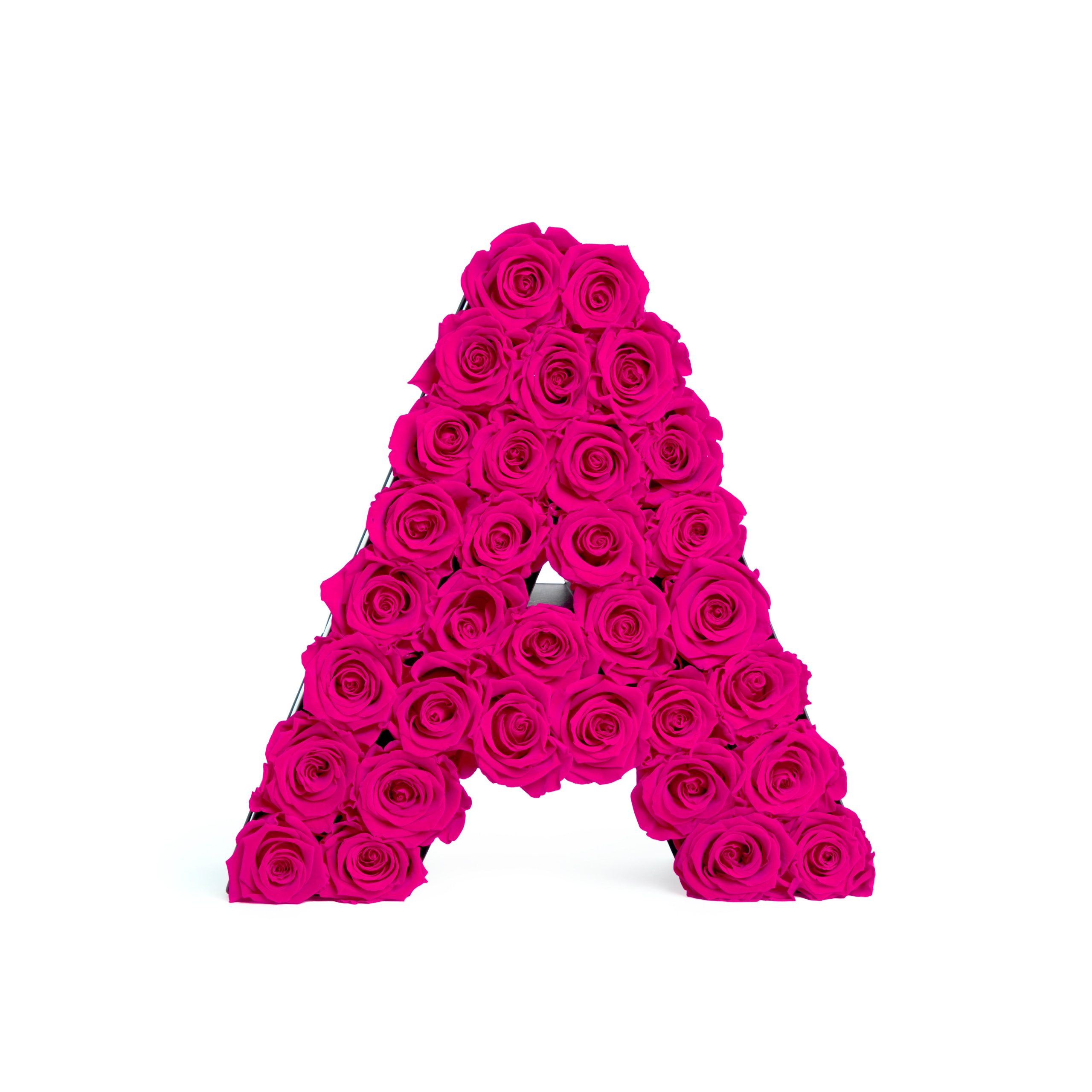 Le_Grand_Letter_A_HotPink_Front_c3dc8e6d-de78-47b9-ba56-adc8c7f12be8-1-scaled-1.jpg