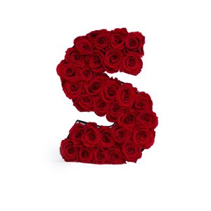 Le Grand Letter – S