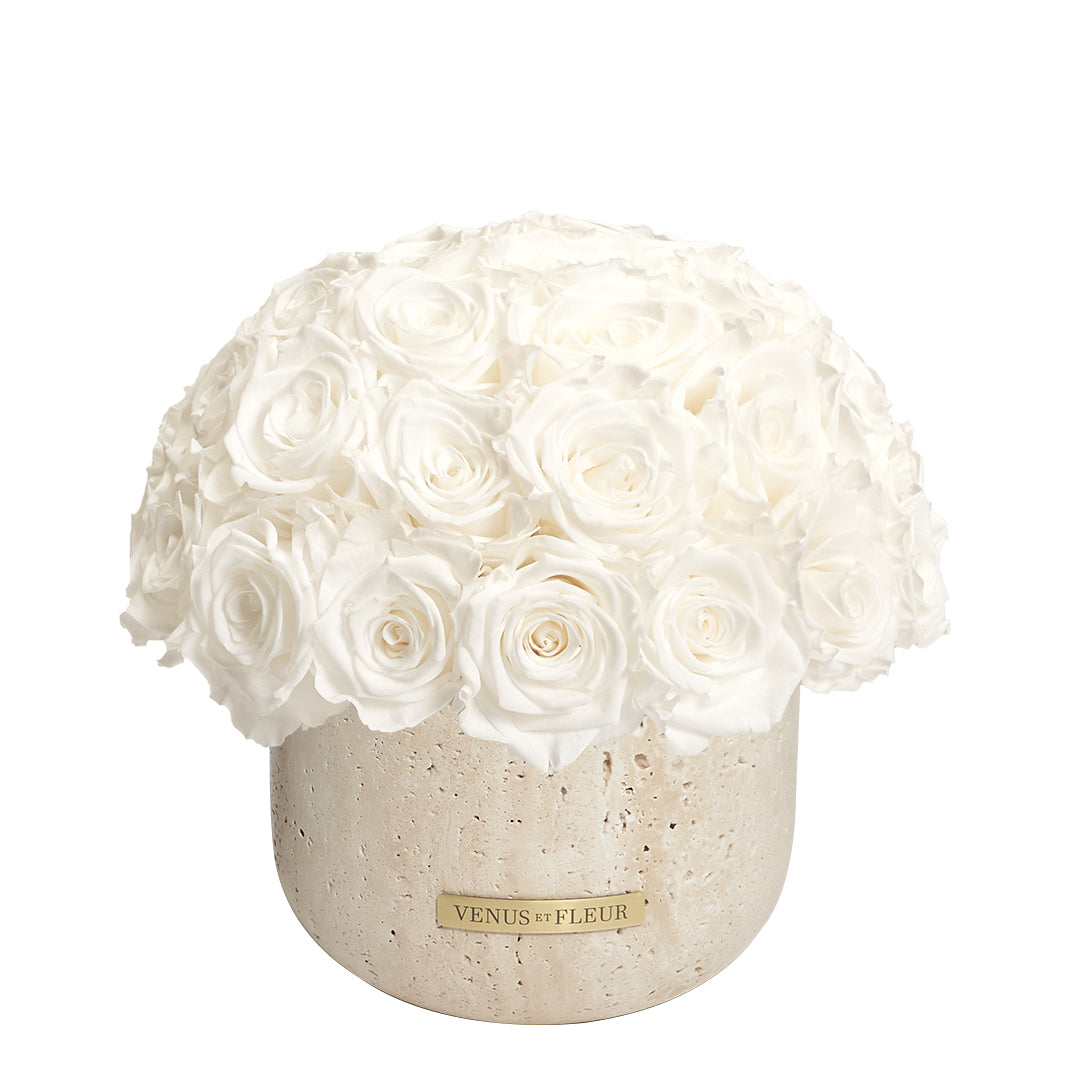 PDP_TERRE_Rose_White_7.jpg