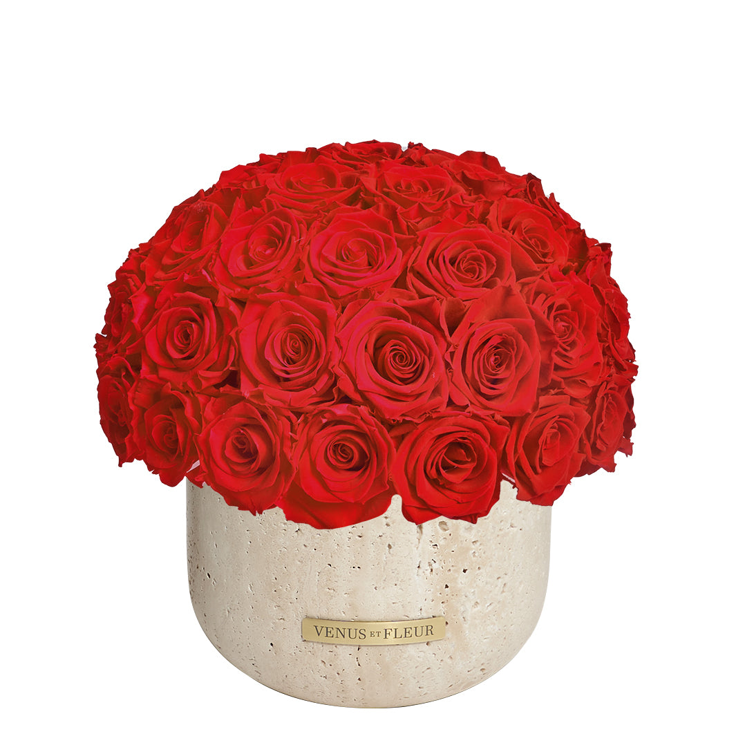 PDP_TERRE_Rose_red.jpg
