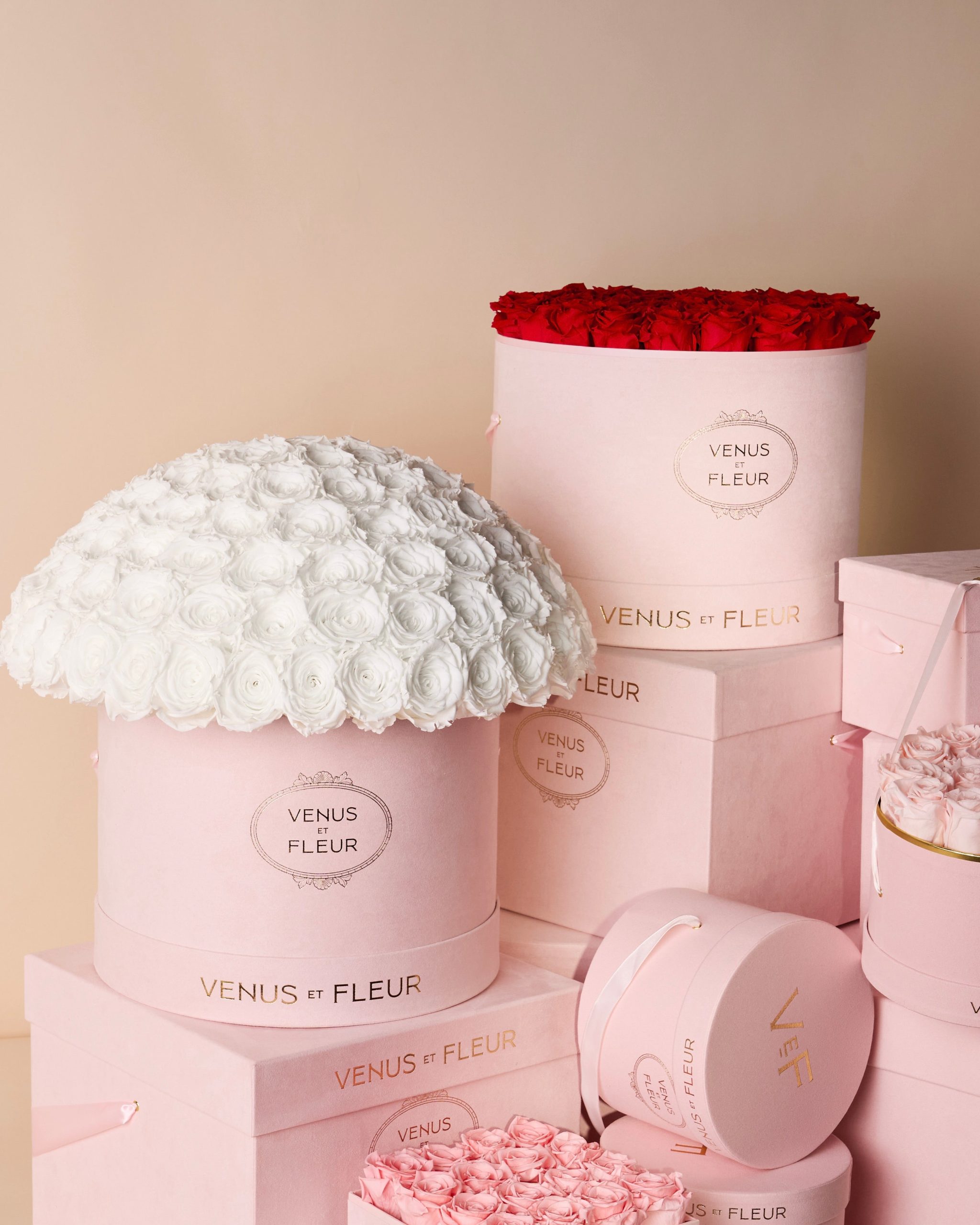 PINKSUEDEHATBOX_Roses_Lifestyle_145_3-scaled-1.jpg