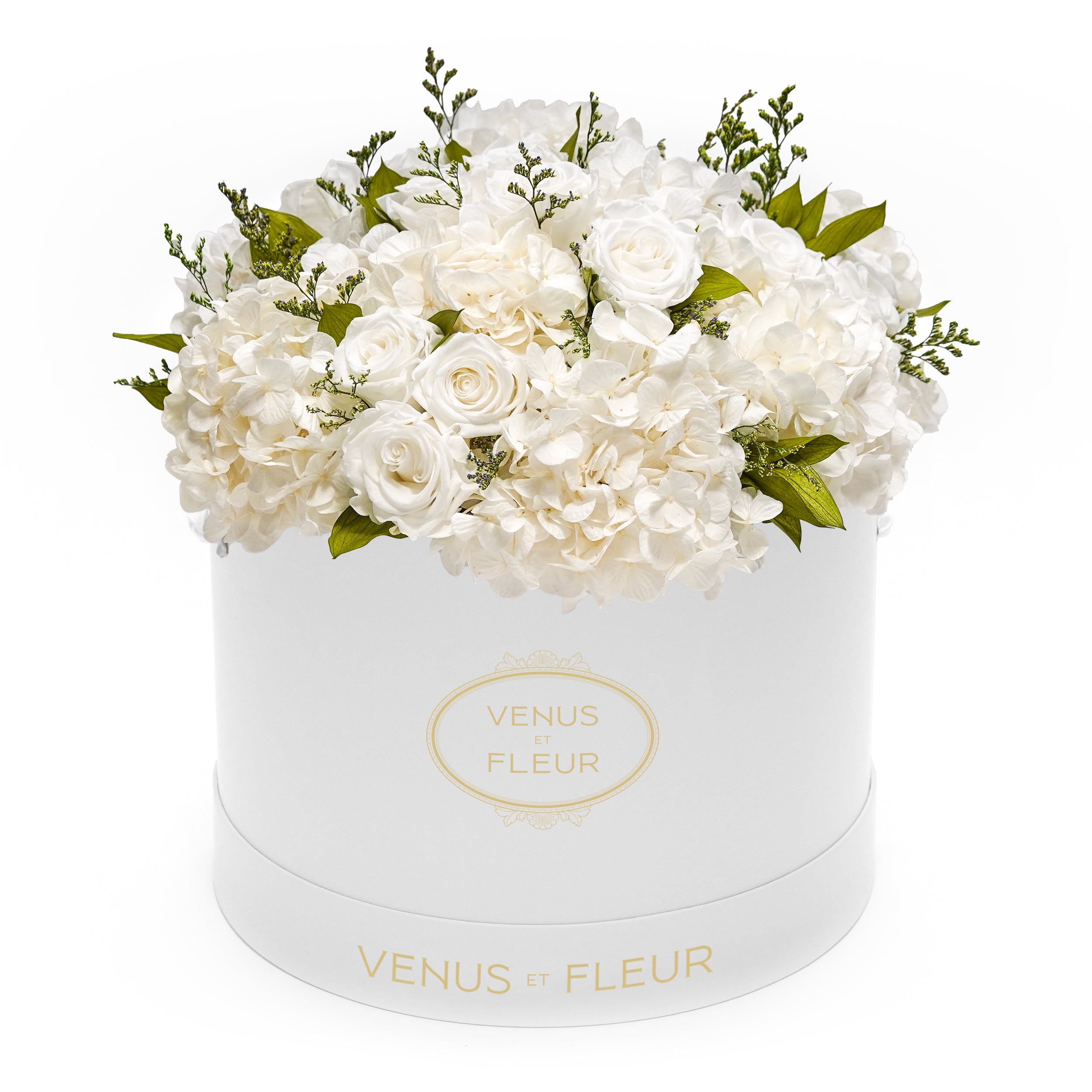 Rose_Hydrangea_LargeRound_BABY_POWDER.jpg