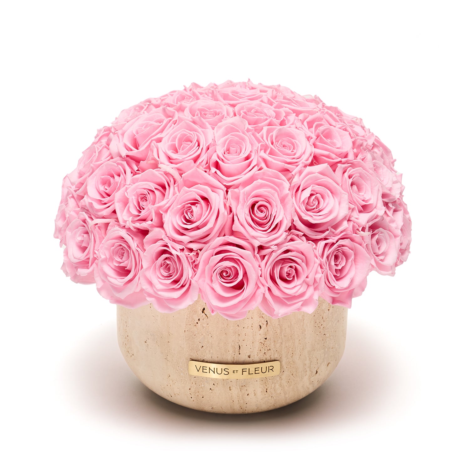 TERRE_Roses_BalletPink_hero1.jpg