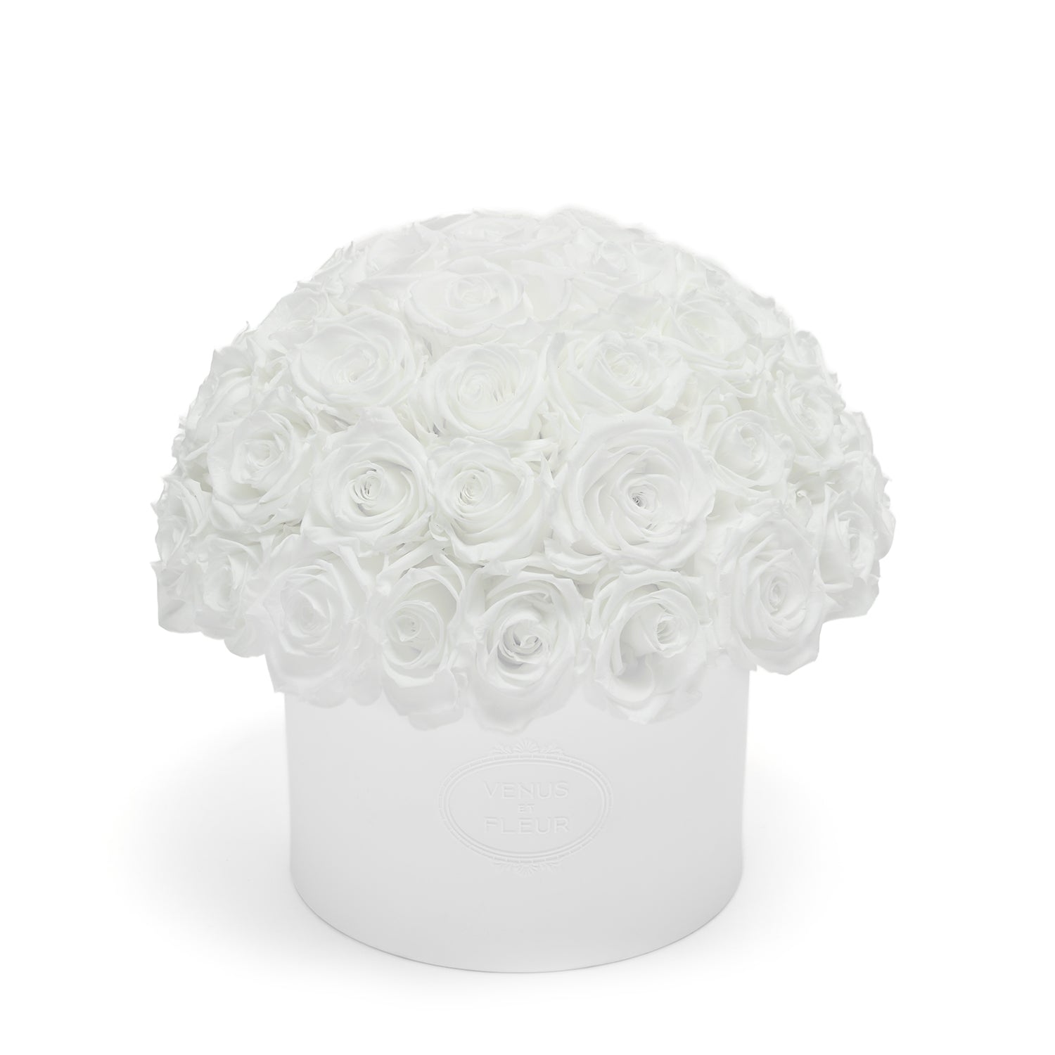 THALIA_Roses_PureWhite_hero1.jpg