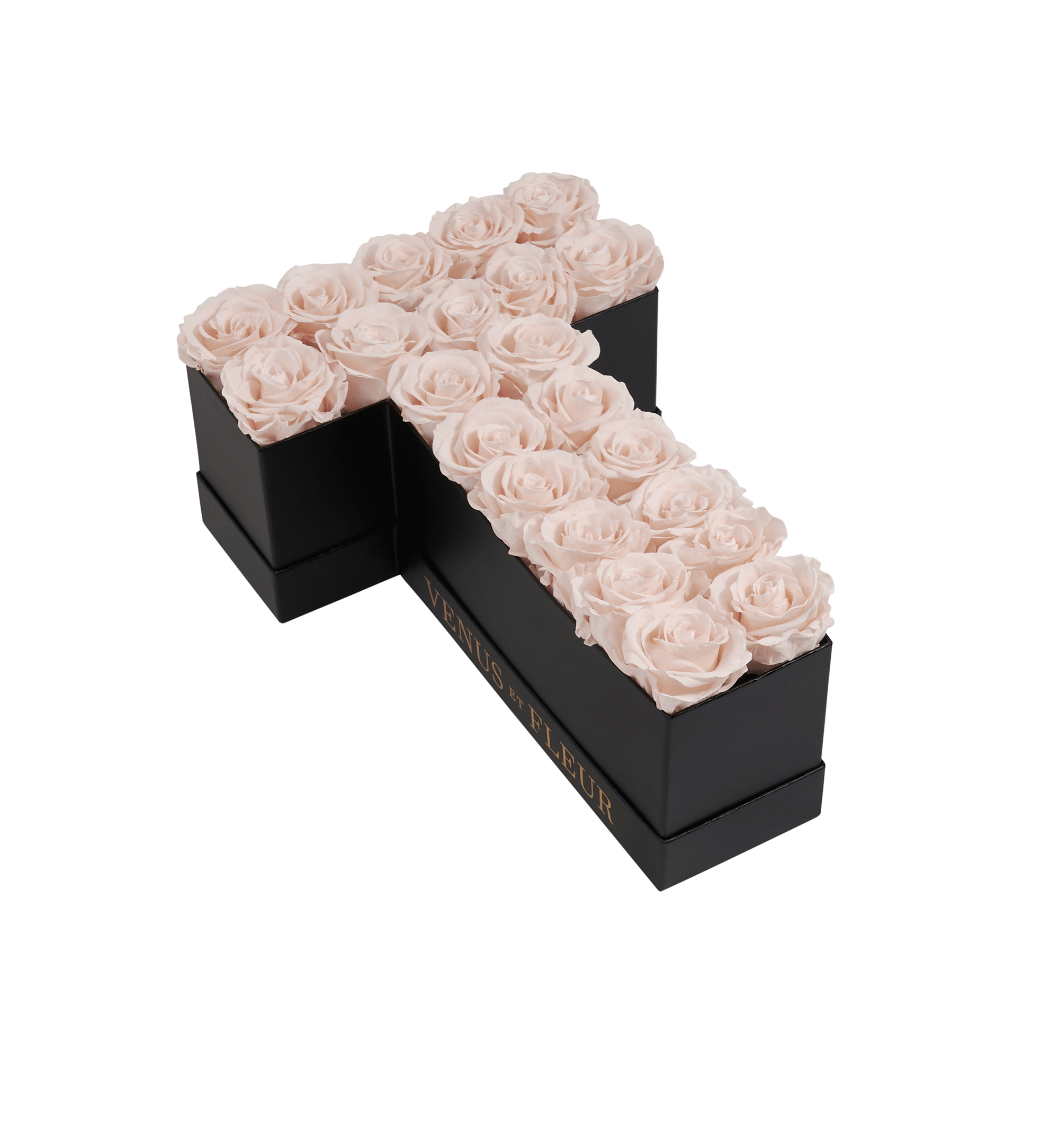 T_blush.png