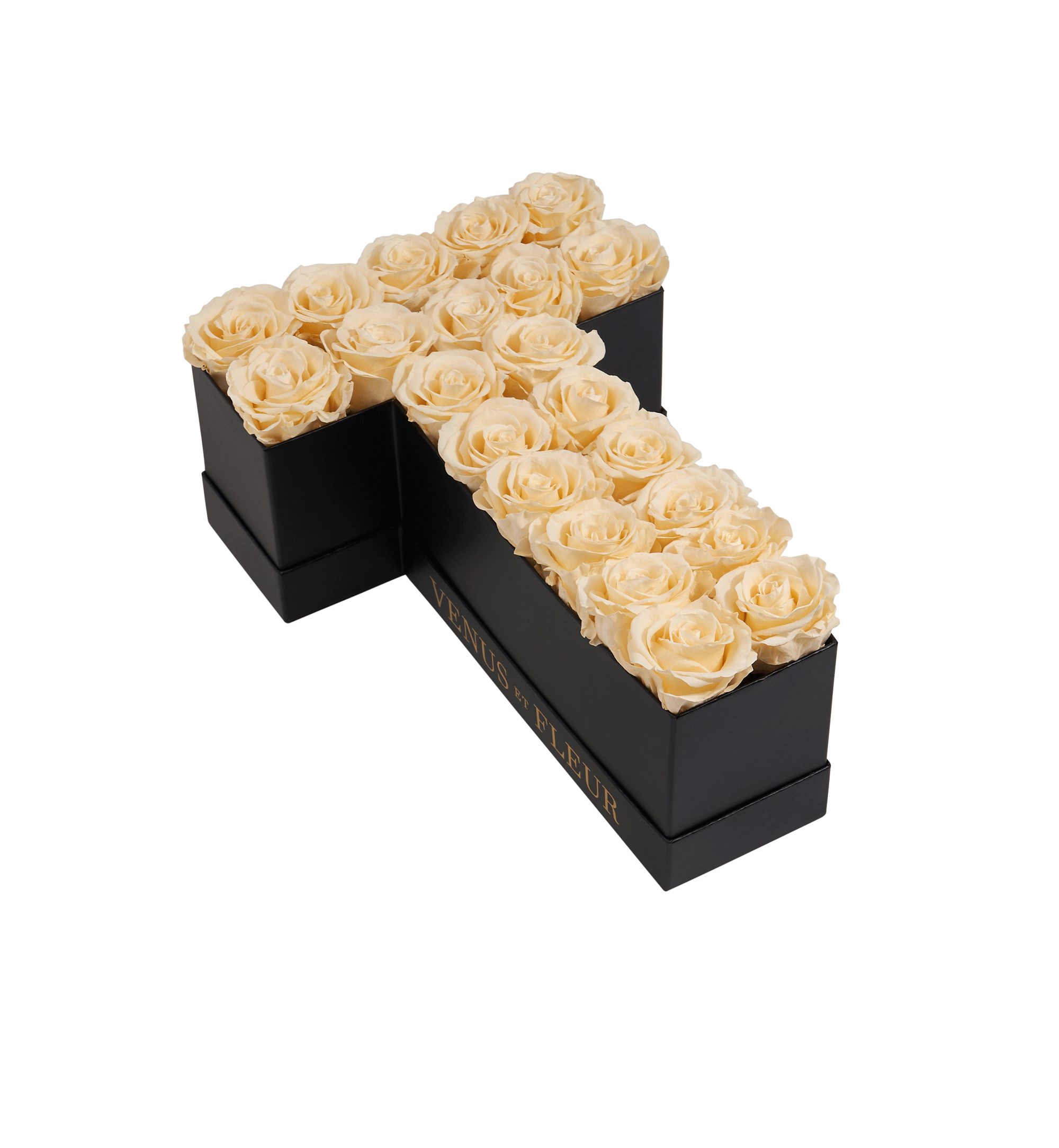 T_champagne.png