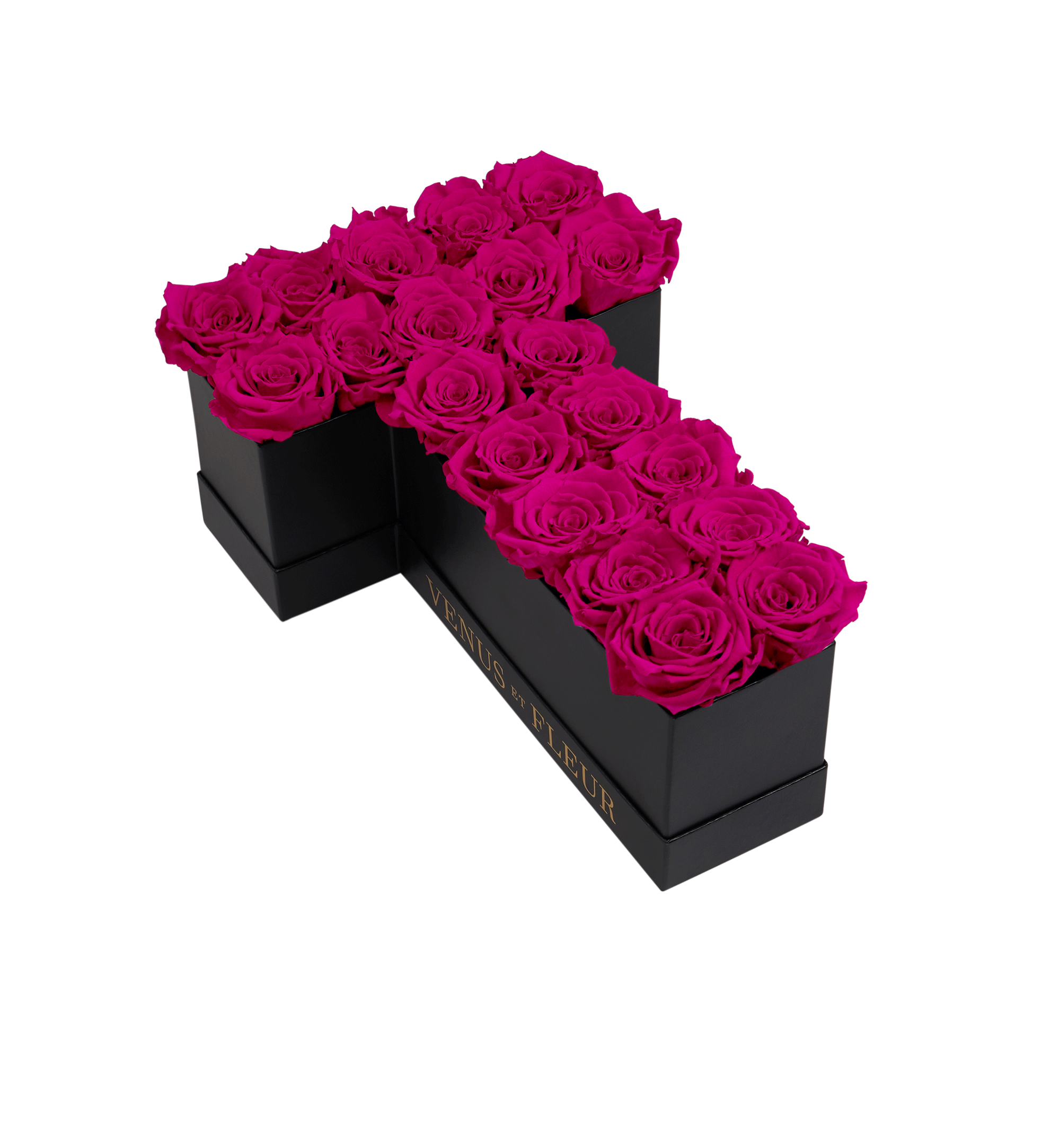 T_hotpink.png