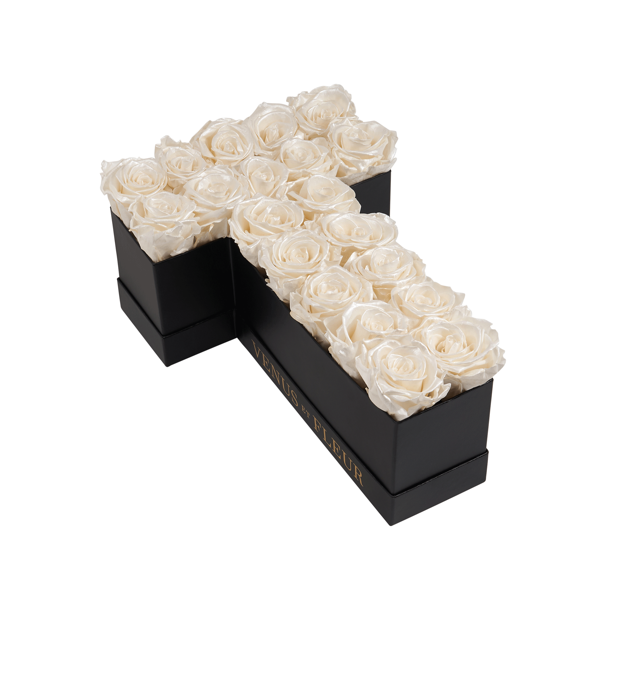 T_pearlS.png