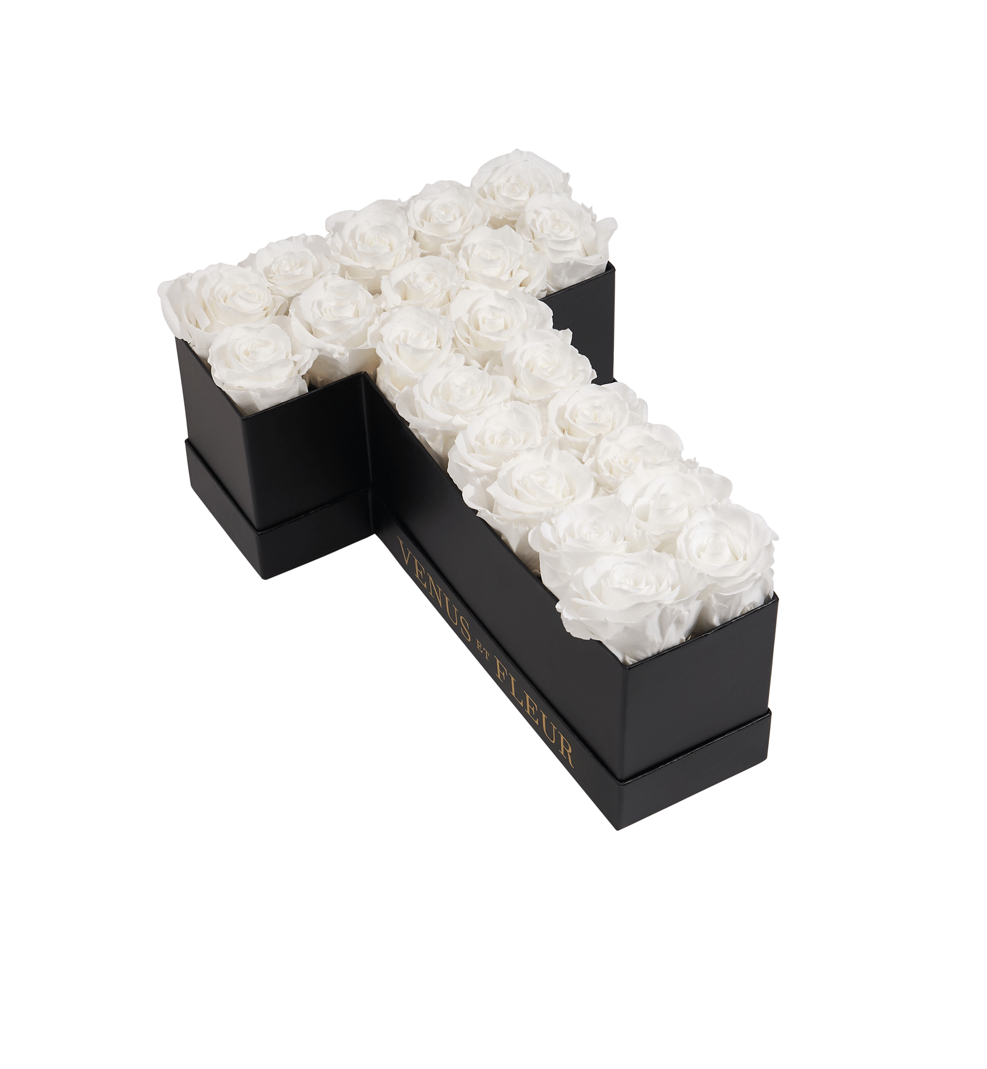 T_purewhite.png