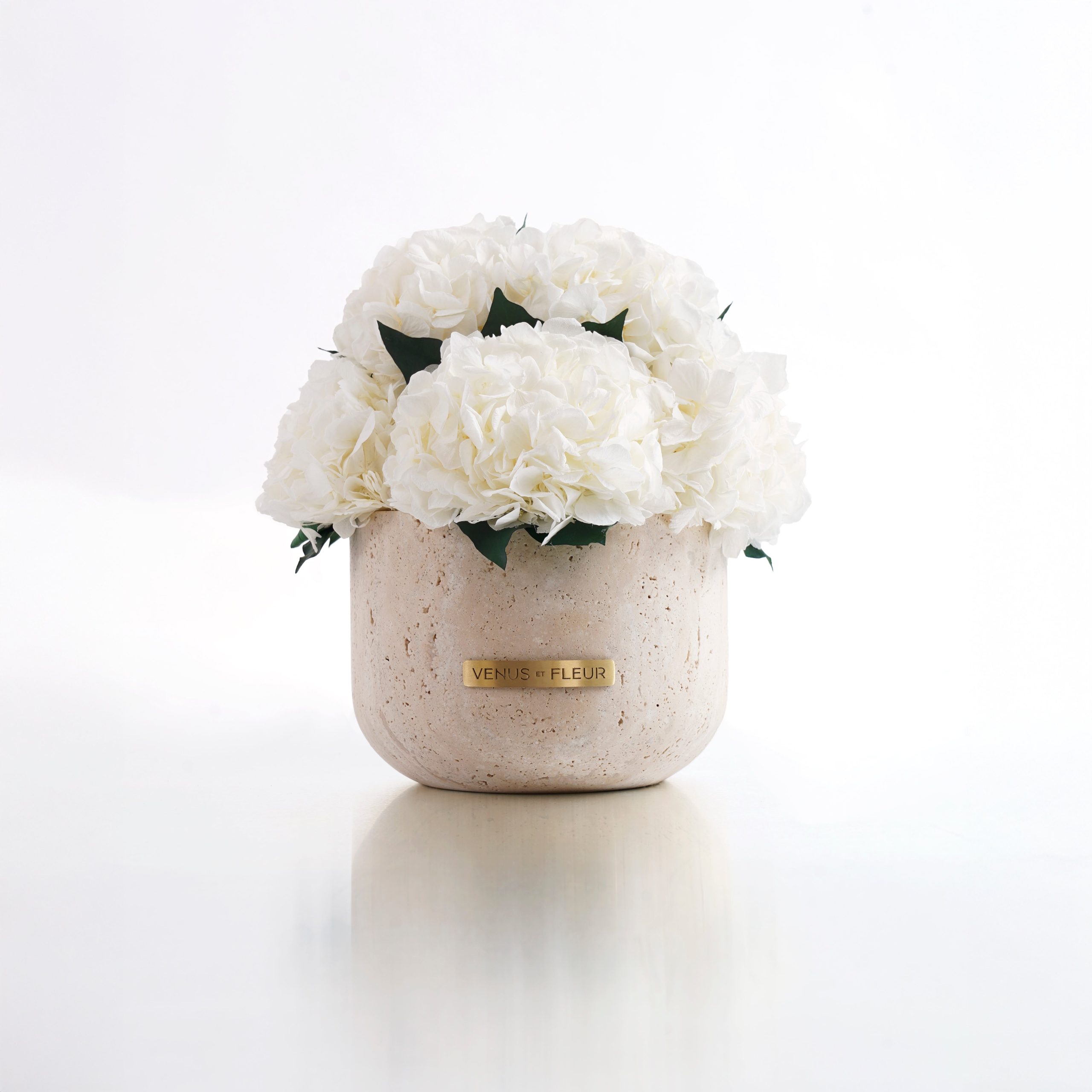 VDAY-Supplemental_Terre_1500x1500_a7ca83f4-6b5c-4a71-bf15-2555947def55-1-scaled-1.jpg