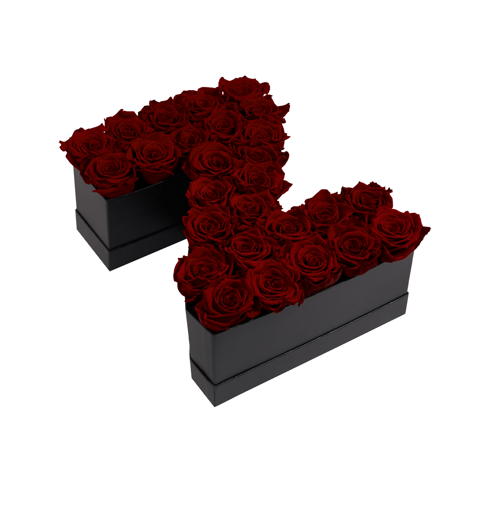 Z_burgundy.png