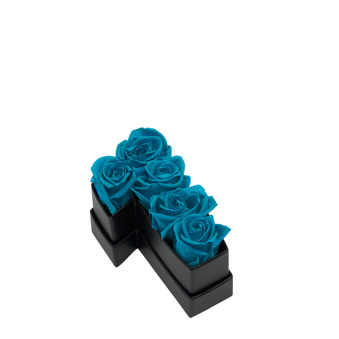 aqua_775546db-064d-460f-97be-f75df82a5224.jpg