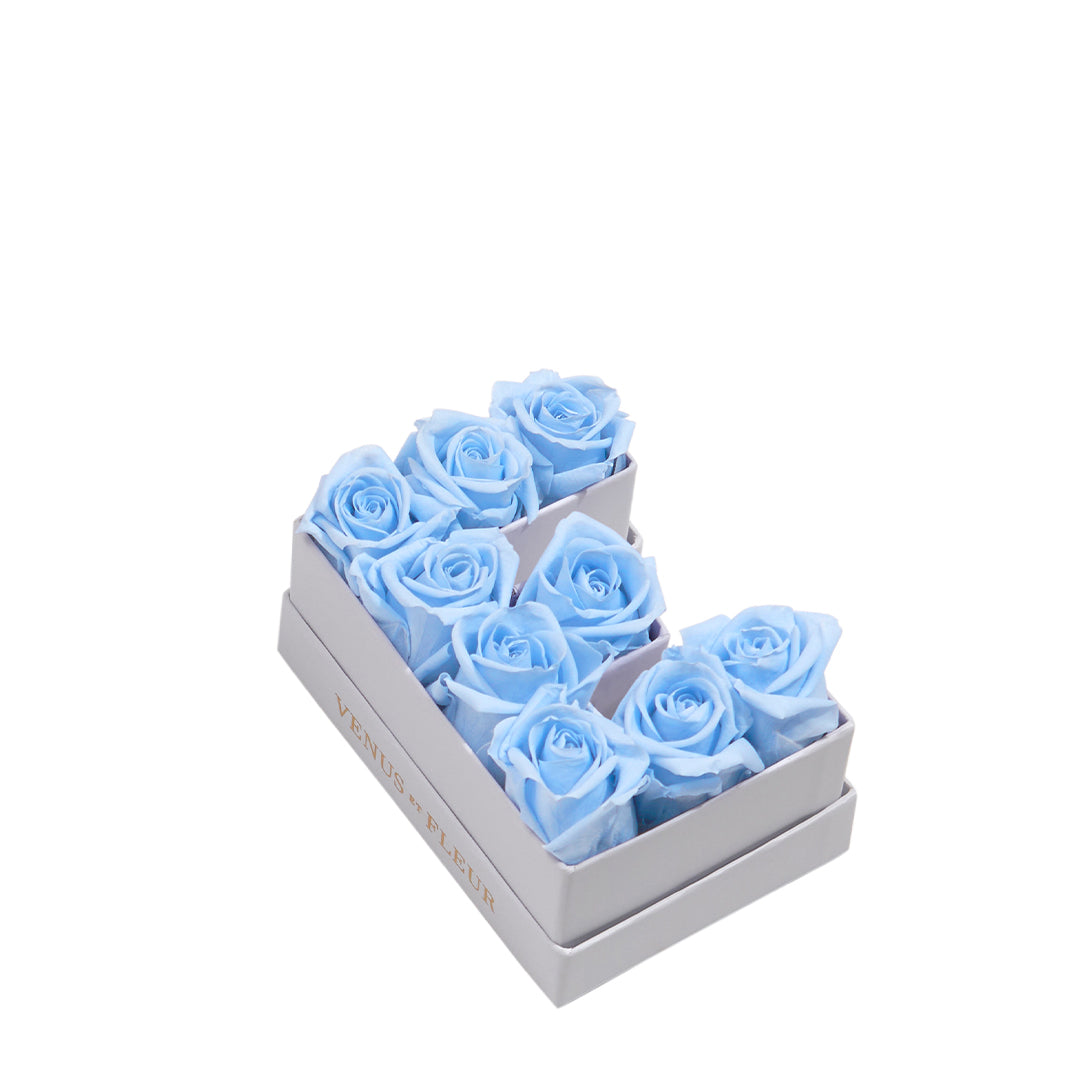 babyblue_0917b8c8-a5dd-41ad-ae09-8c355a6bbe50.jpg