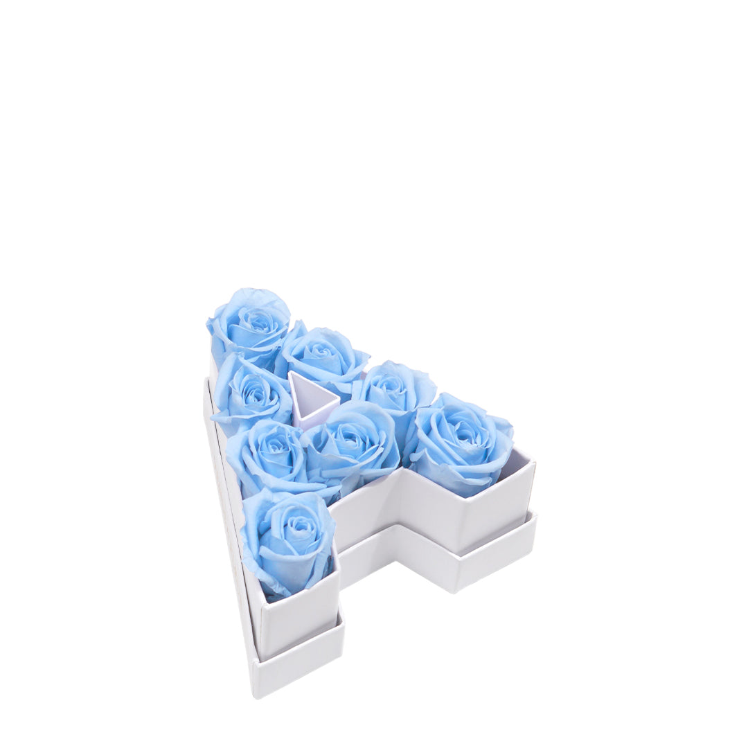 babyblue_117235ed-694b-49e0-ad8c-075bbd8cf260.jpg