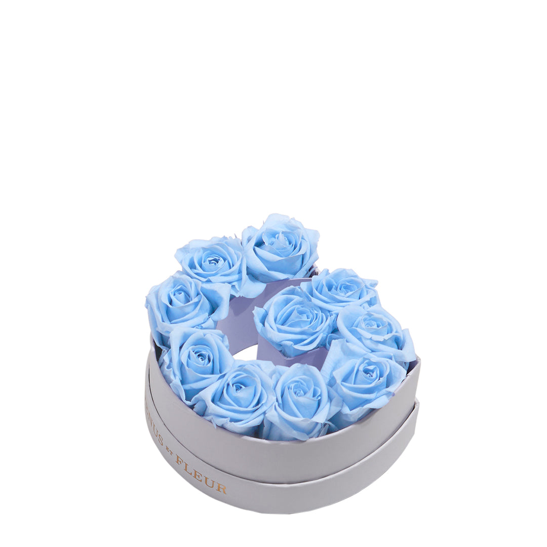 babyblue_3175e4ec-d0ab-456a-baf3-8190d27f6b67.jpg