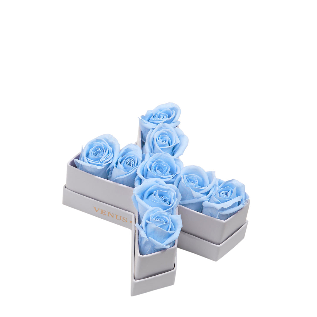 babyblue_4811bb95-4fad-44f0-9d2a-89f30b57851d.jpg